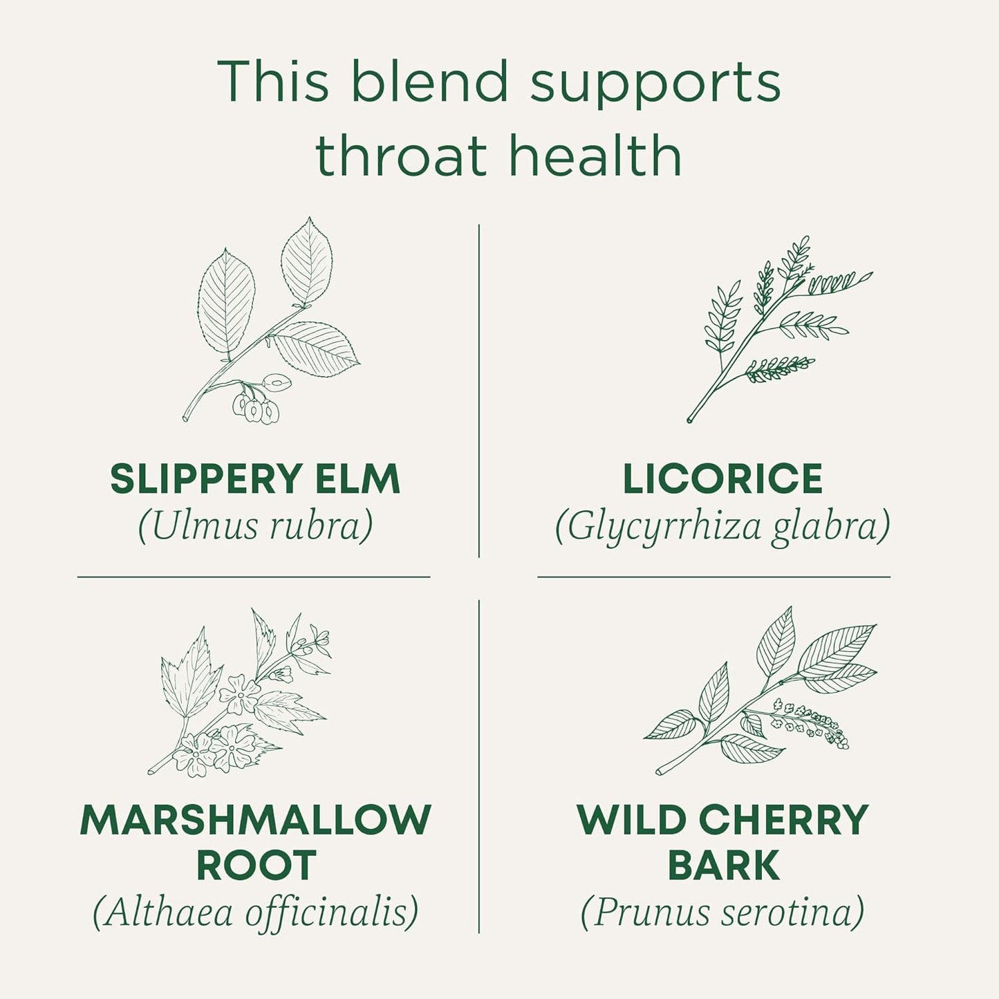 organic-throat-coat-tea-by-traditional-medicinals---96-tea-bags-6-pack-for-throat-health-support-2