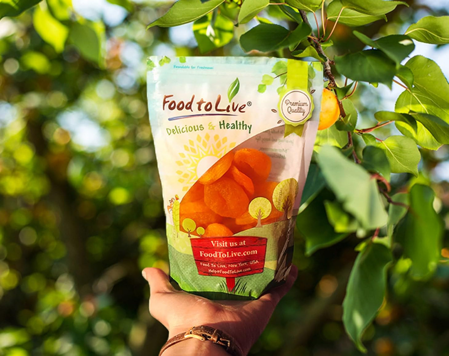 organic-dried-apricots---1lb-bulk-pack-from-turkey-kosher-vegan-friendly-4