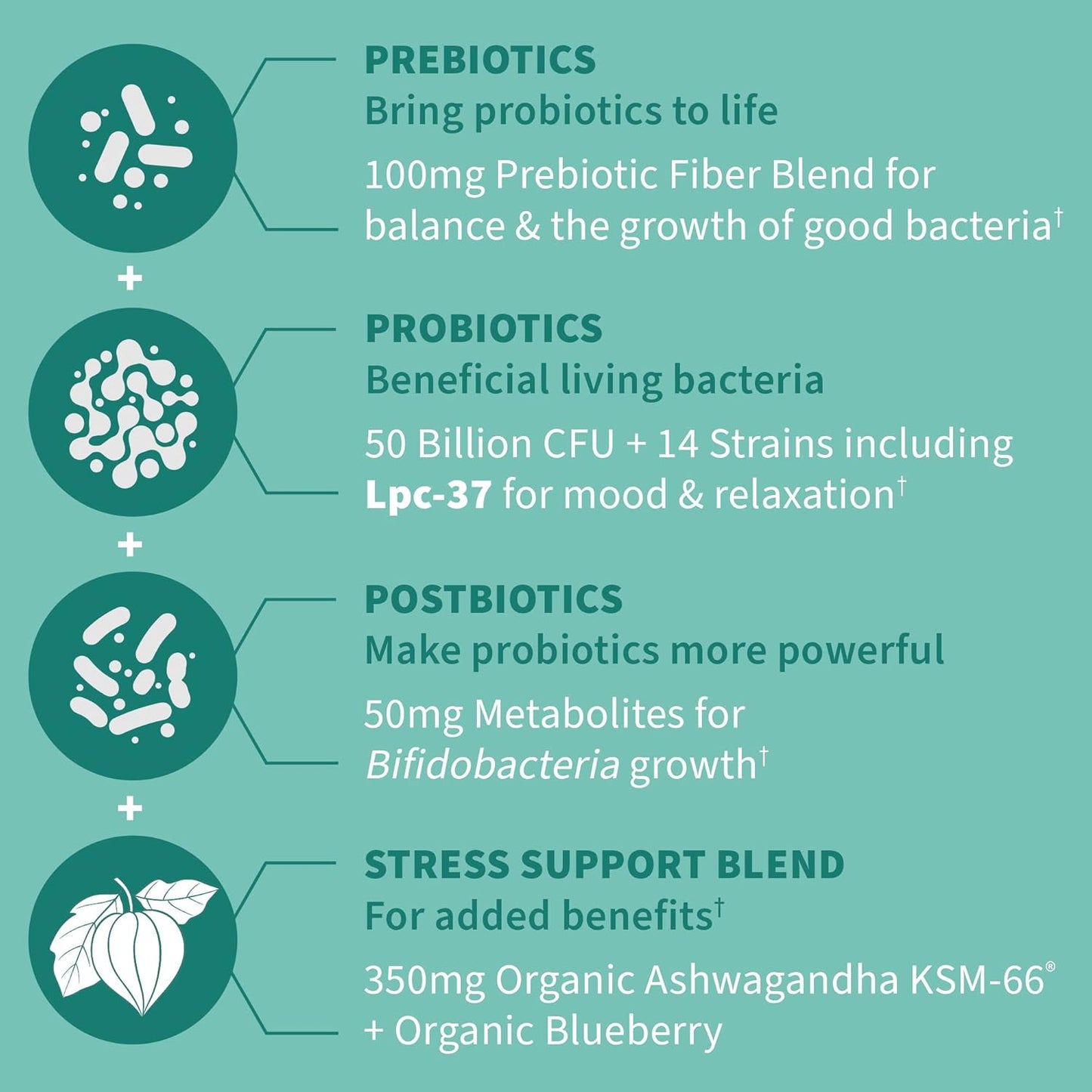 dr-formulated-calm-daily-3-in-1-probiotic-supplement-with-ashwagandha---immune-digestive-mood-support---30-day-supply-4