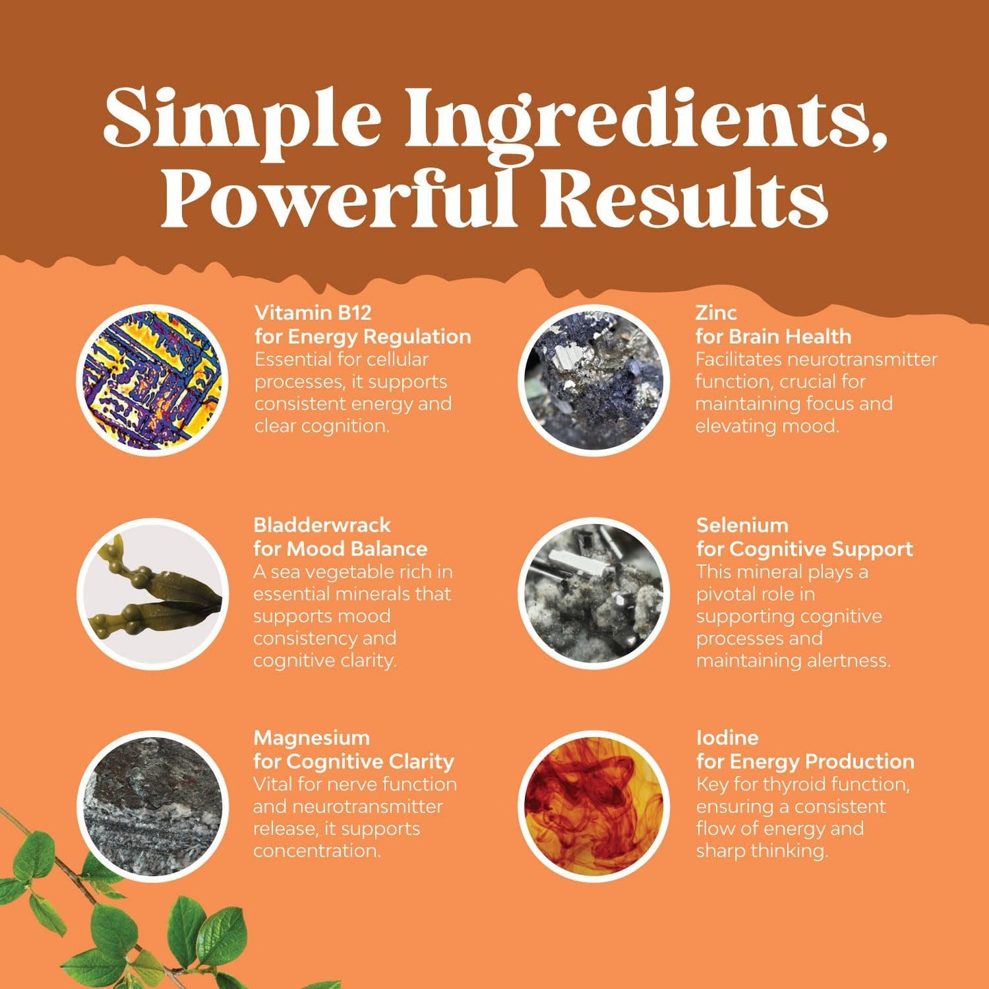 herbal-adrenal-thyroid-support-complex---mood-enhancer-energy-supplement-for-thyroid-health-menopause-night-sweats-more-6