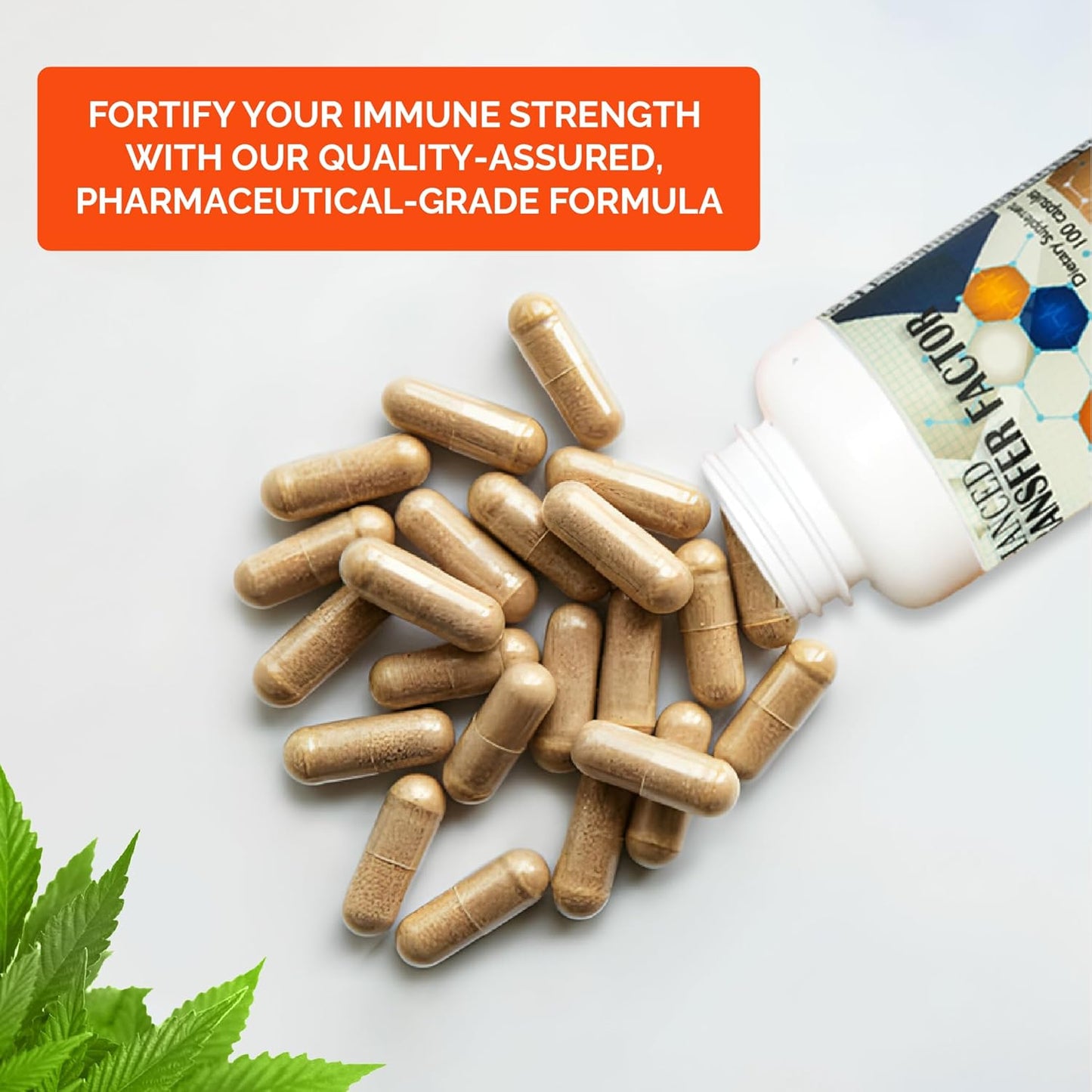 Transfer Factor Multi Immune Capsules - Natural Immune Support Supplement with Cow Colostrum, Egg Yolk, and Mushroom Blend - Espot.com.au