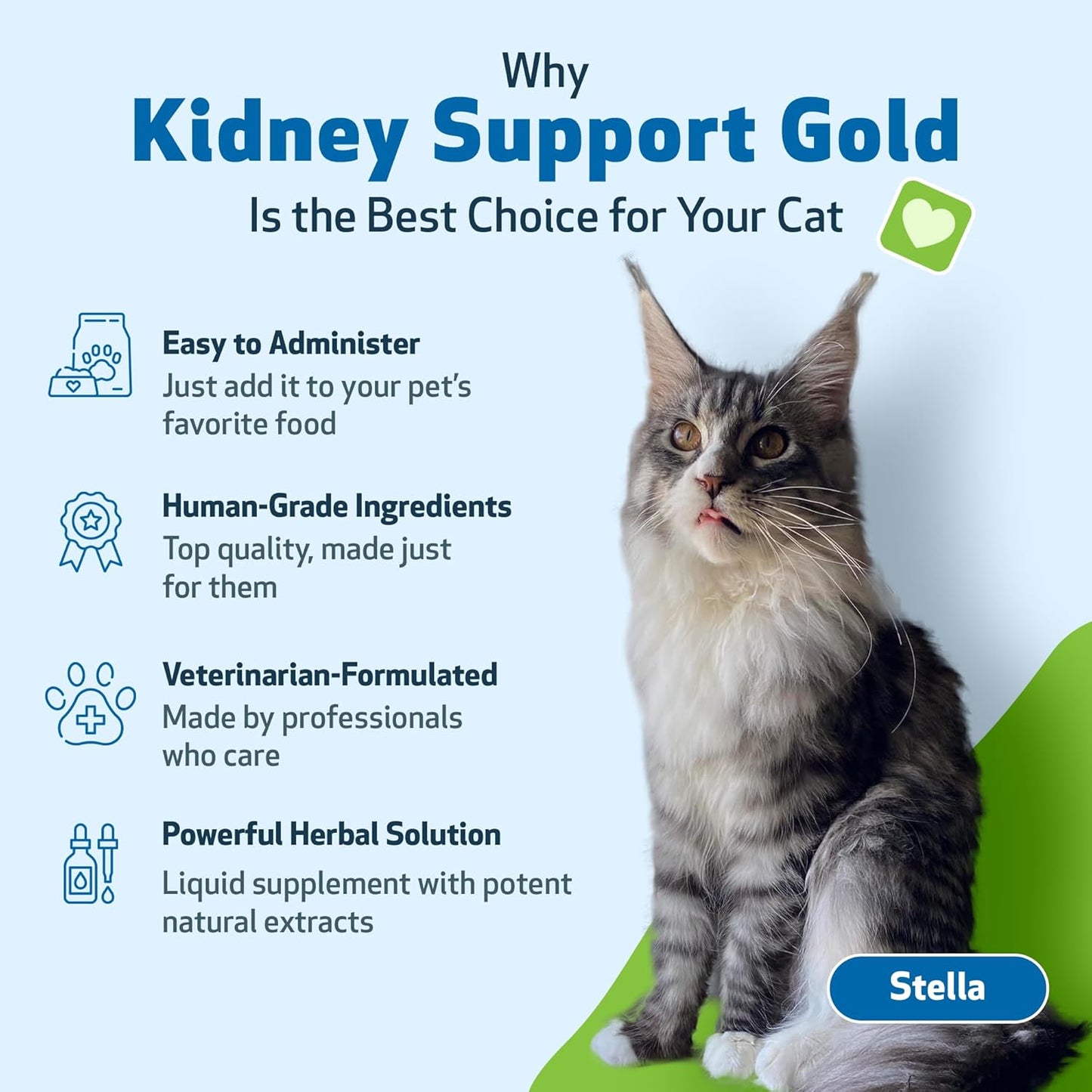 herbal-supplement-for-cats-supports-healthy-kidney-function-energy-levels-vet-formulated-kidney-support-gold-rehmannia-dong-quai-2-oz-bottle-4