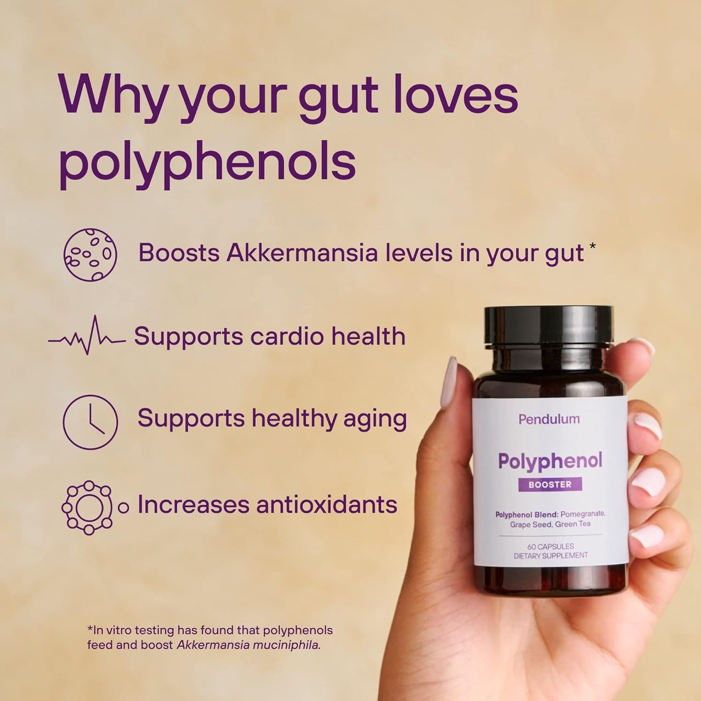 pendulum-bundle-akkermansia-polyphenol-booster---probiotic-supplement-for-digestive-cardio-health-6