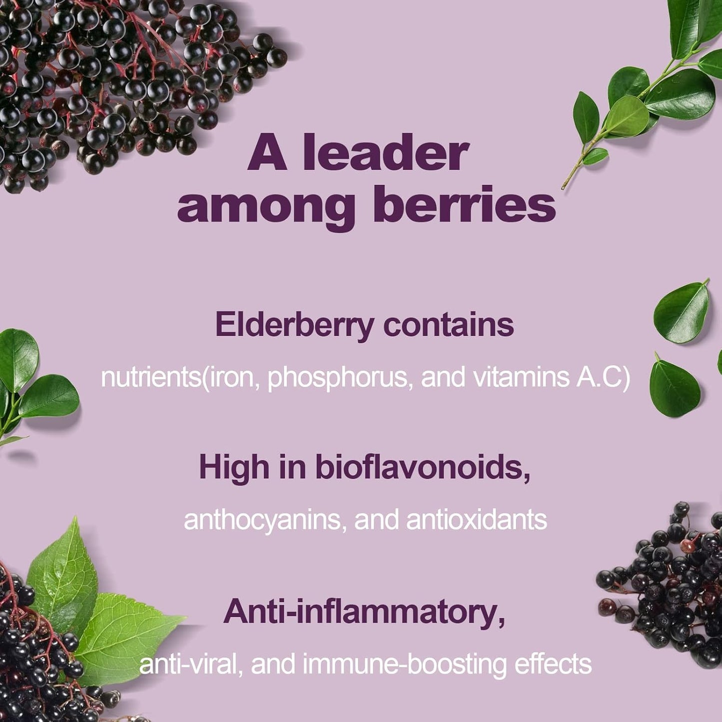 Organic Elderberry Gummies with Zinc and Vitamin C for Immune Support - Vegan, Non-GMO, Gluten Free - 120 Gummies, Berry Flavor - Espot.com.au
