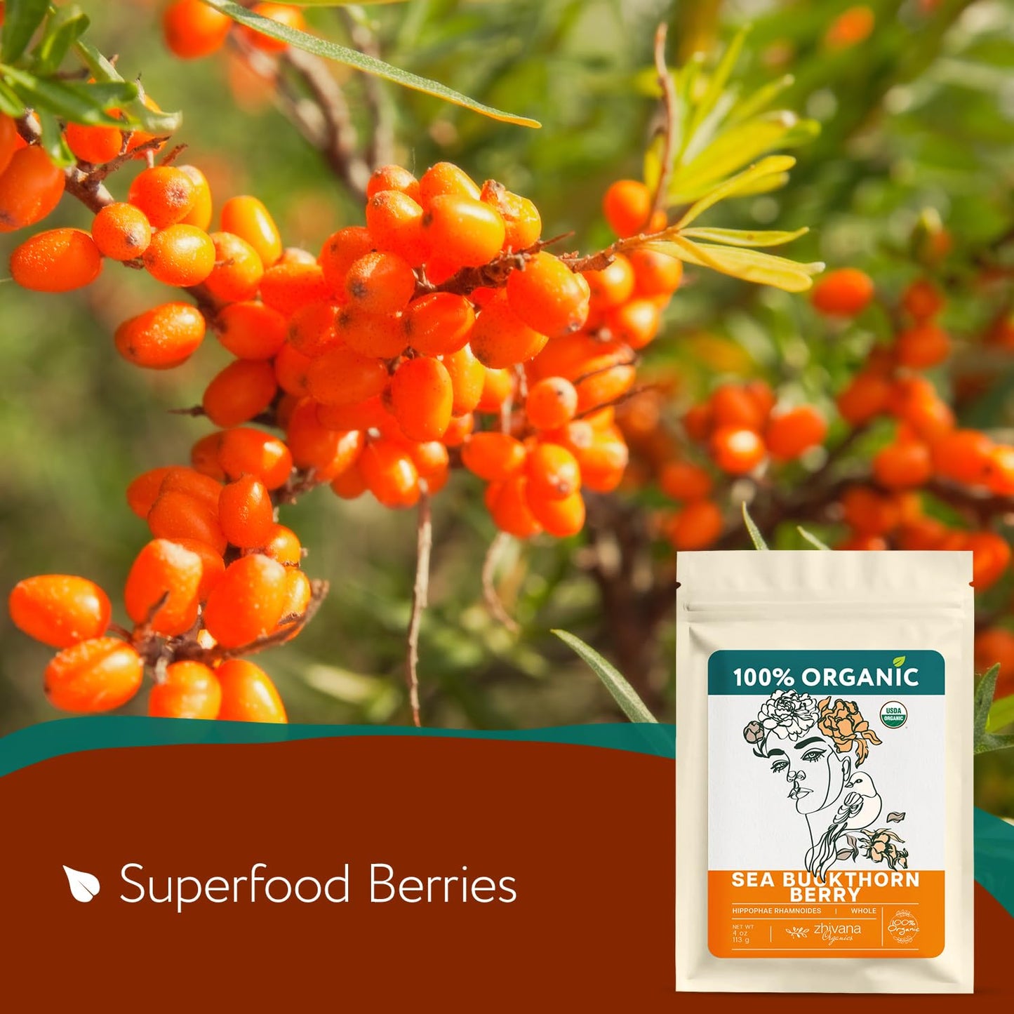 organic-sea-buckthorn-berry-tea---dried-seaberry-superfood-rich-in-nutrients-for-immunity-heart-digestion-liver-skin---4-oz-2