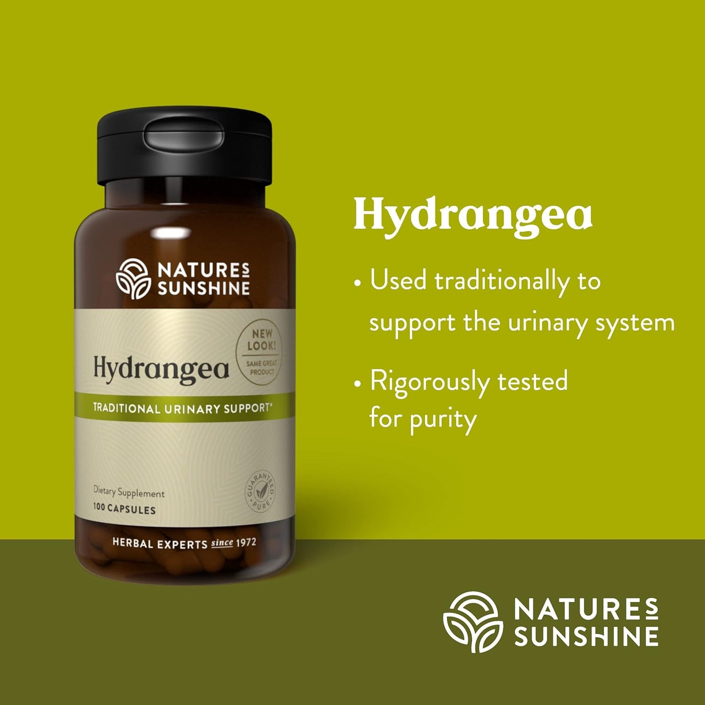 pure-hydrangea-root-capsules---650mg-natural-urinary-system-kidney-support-4