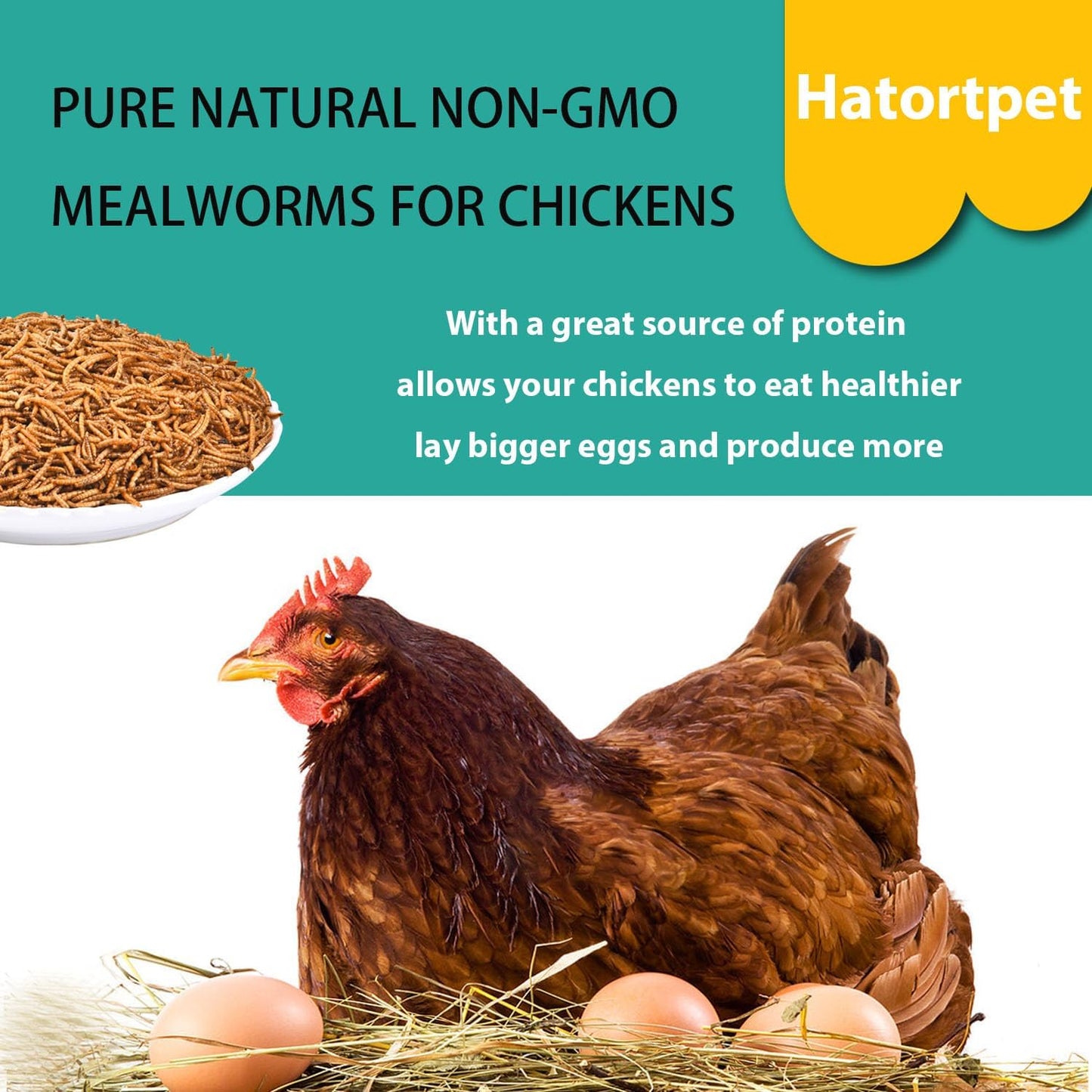 5lb-bag-of-non-gmo-dried-mealworms---high-protein-feed-for-chickens-laying-hens-and-wild-birds---pure-natural-snack-3