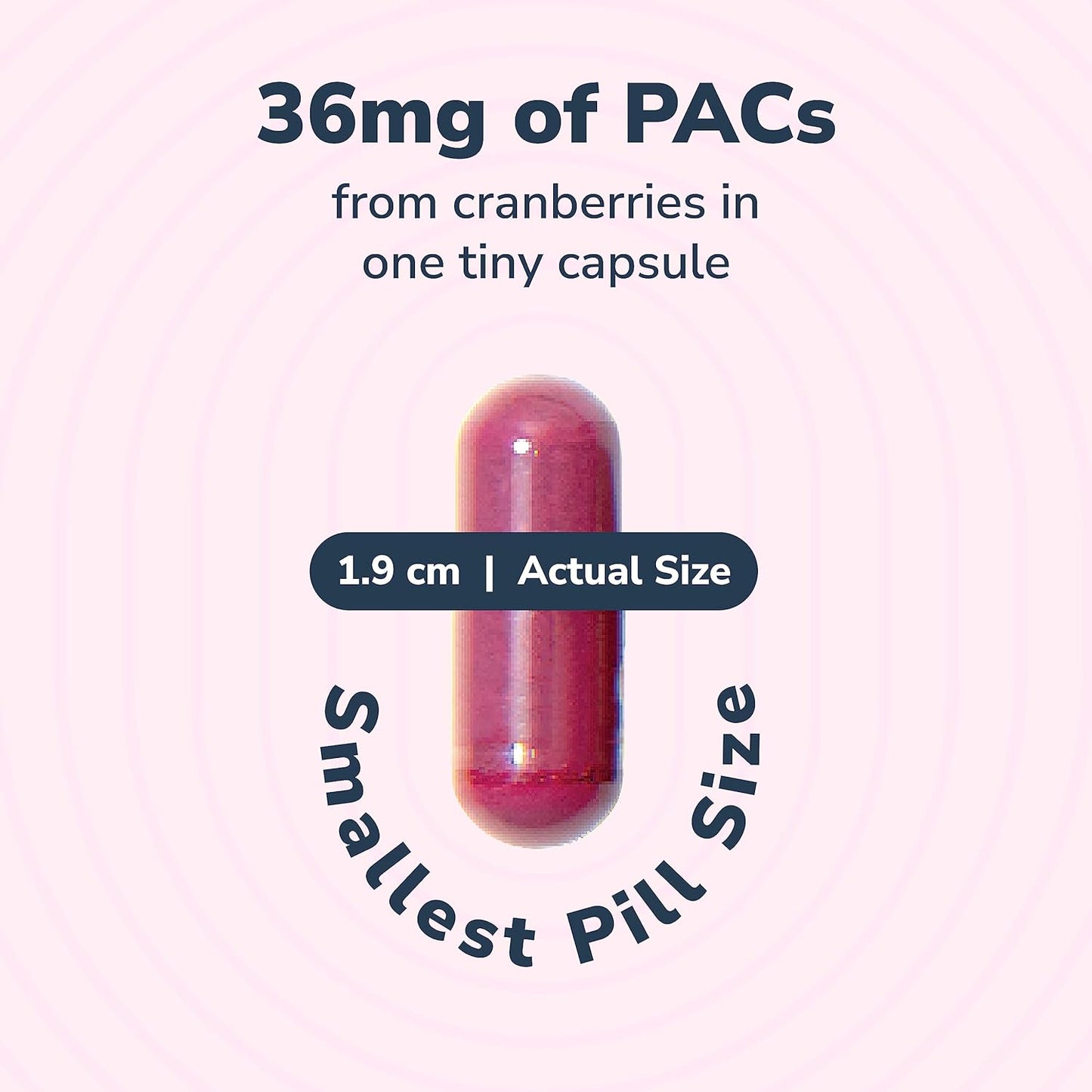 szio-utiva-cranberry-pacs-supplement---36mg-pacs-for-uti-prevention---urinary-tract-health-for-women-and-men---bladder-health-pills-90-capsules-2