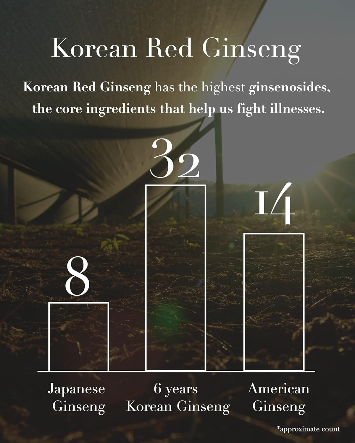 100-pure-korean-red-ginseng-extract-tea---176oz-50g---immunity-booster-with-750mg-ginsenoside-4