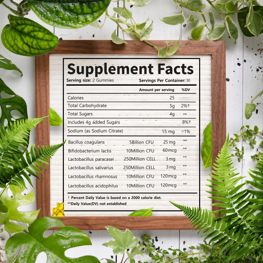probiotic-gummies-5-billion-cfu-for-women-men---digestive-support-with-natural-orange-flavor---1000mg---30-day-supply-3