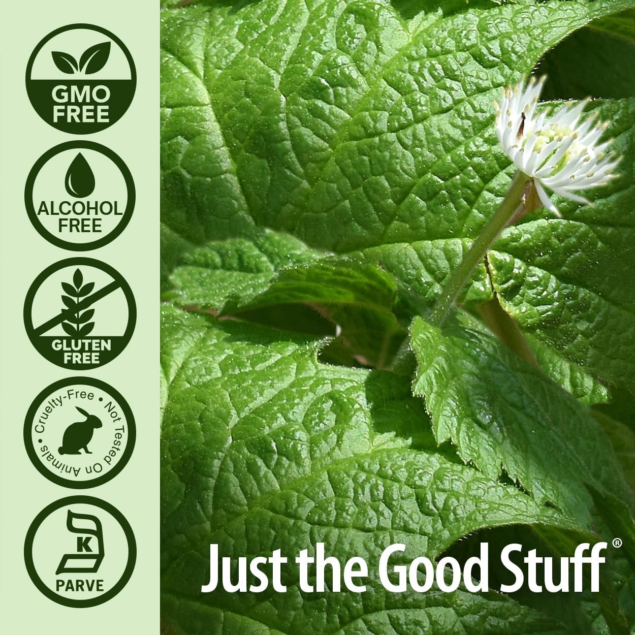 organic-alcohol-goldenseal-root-extract-1oz---immune-support-wellness-boost---gluten-free---single-bottle-5