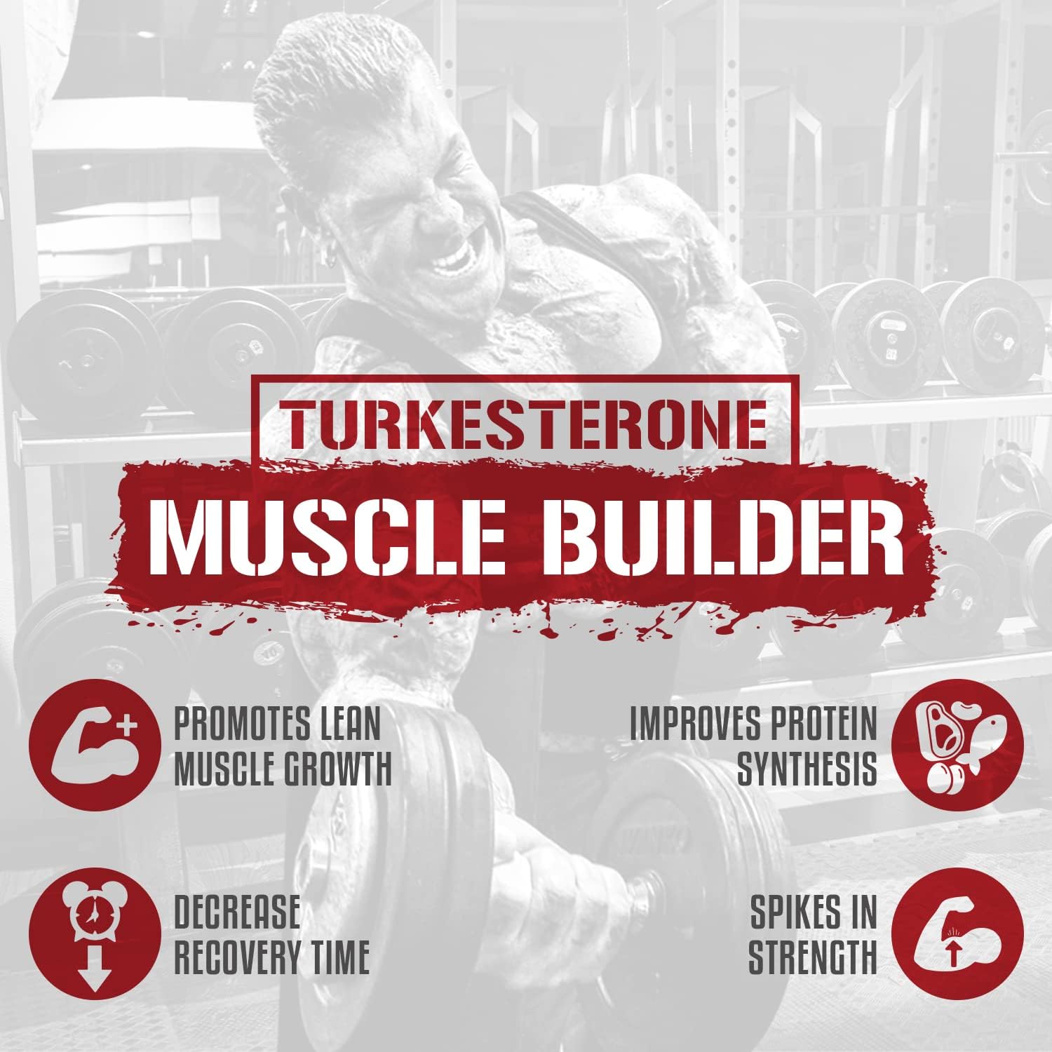 Liver & Organ Defender Stack with NAC & BiggerByTheDay for Heart, Liver, & Kidney Support + Anabolic Muscle Builder & Lean Mass Gainer with Turkesterone & L-Leucine - Espot.com.au