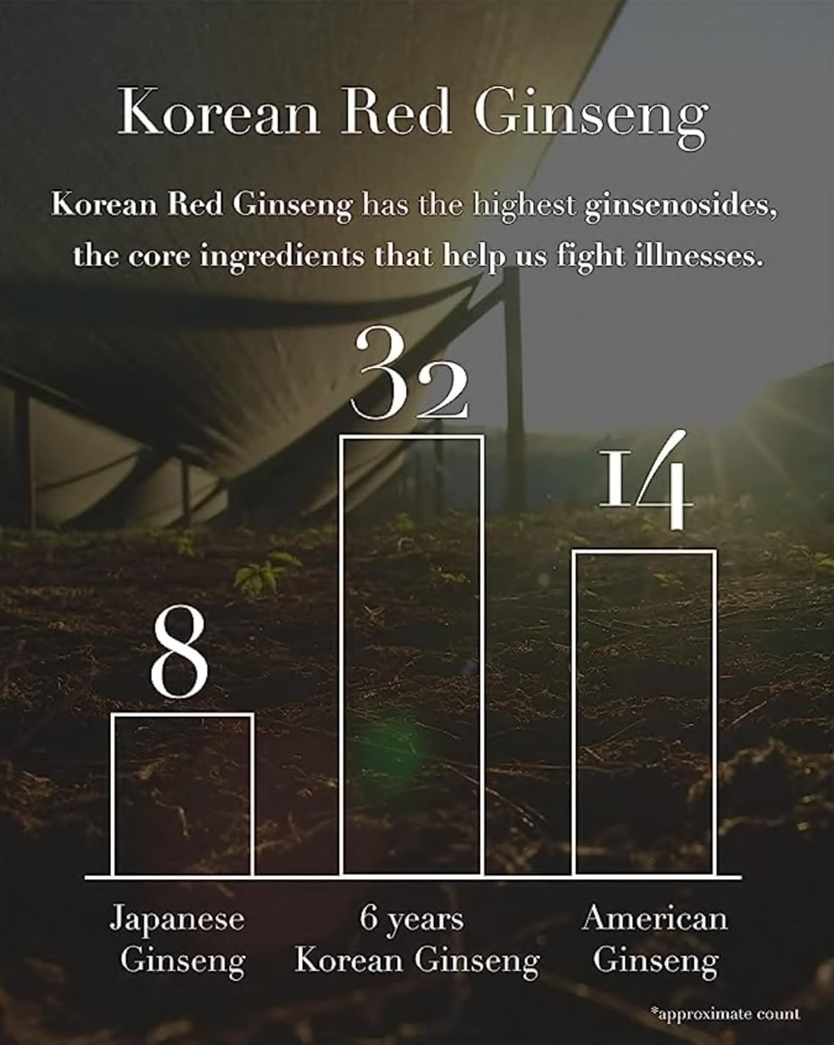 100-pure-korean-ginseng-extract-tea---353-oz-100g---immunity-boost---ginsenoside-1500mg---ilhwa-3