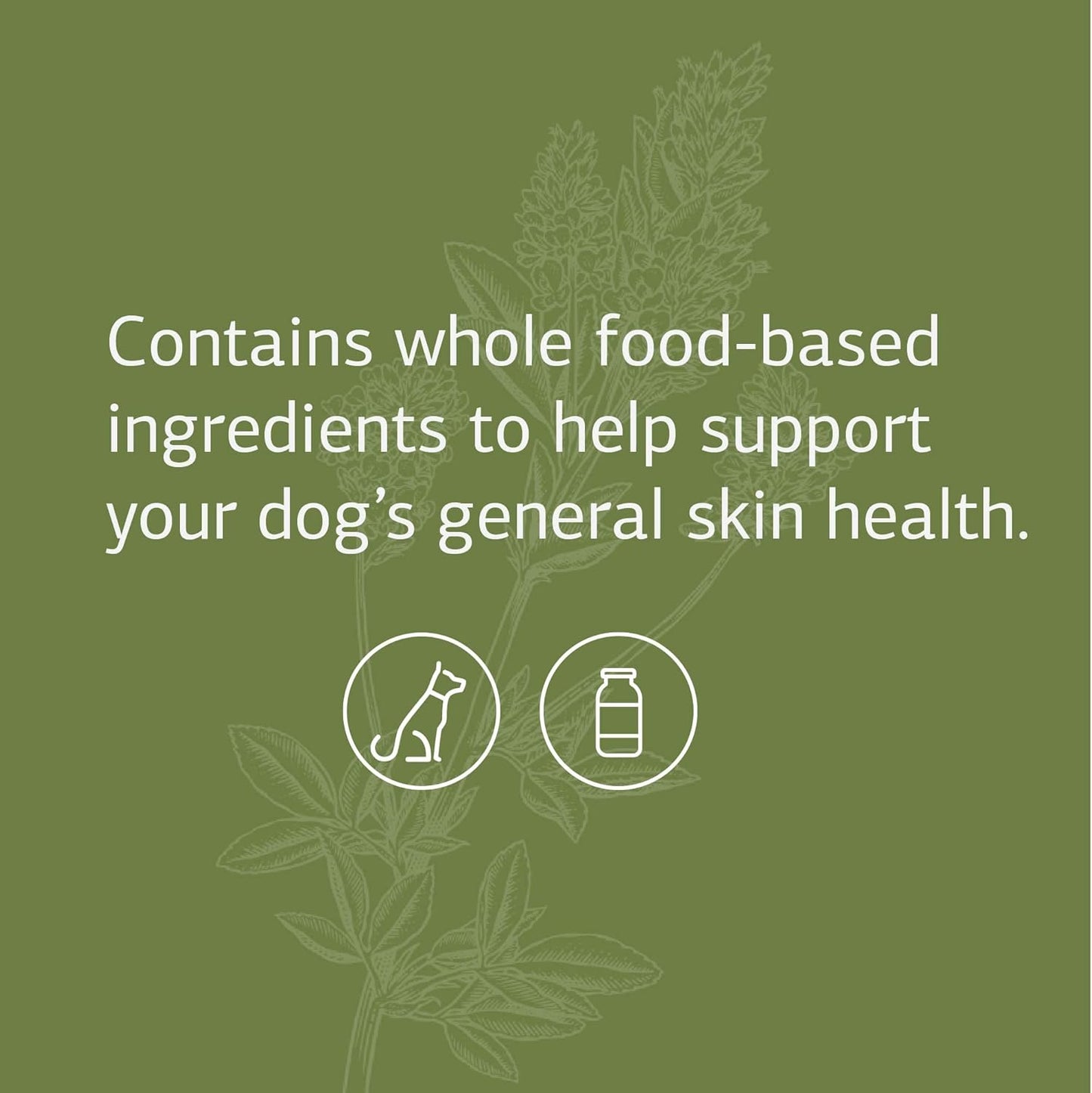 standard-process-canine-skin-and-adrenal-gland-support-supplement---immune-and-liver-health-powder-for-dogs---30g-3