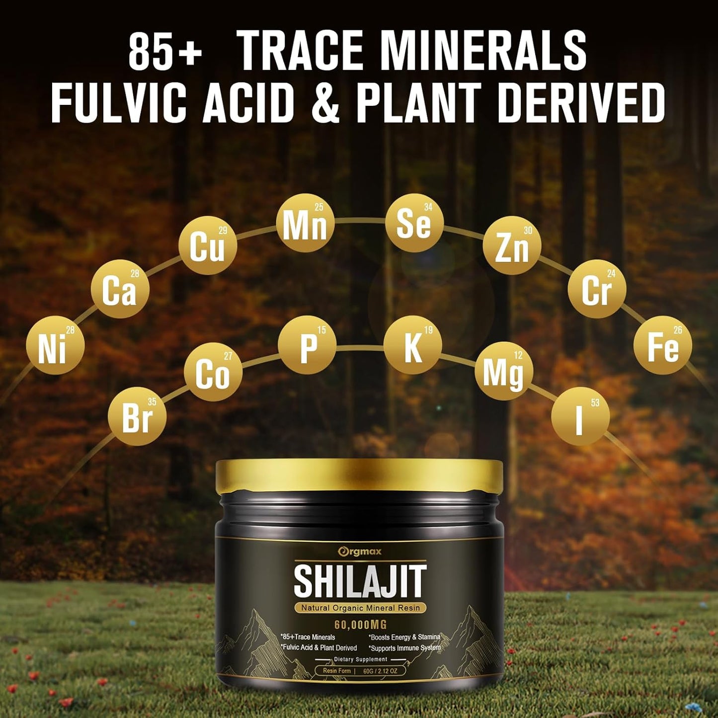high-potency-600mg-shilajit-resin-supplement---pure-himalayan-shilajit-for-energy-immune-support---85-trace-minerals-fulvic-acid---non-gmo---60g-5