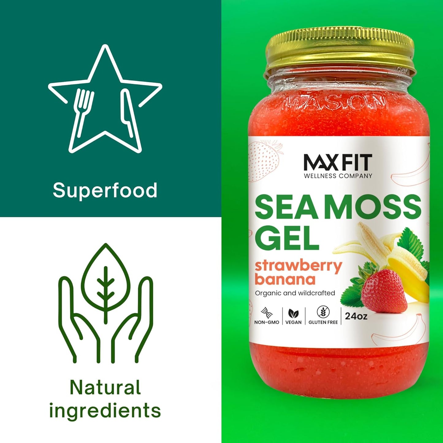 bundle-of-2-jars-24oz-max-fit-sea-moss-gel-strawberry-banana-mango-pineapple-organic-raw-wildcrafted-gold-sea-moss-from-saint-lucia-92-vitamins-minerals-pure-non-gmo-vegan-superfood-3