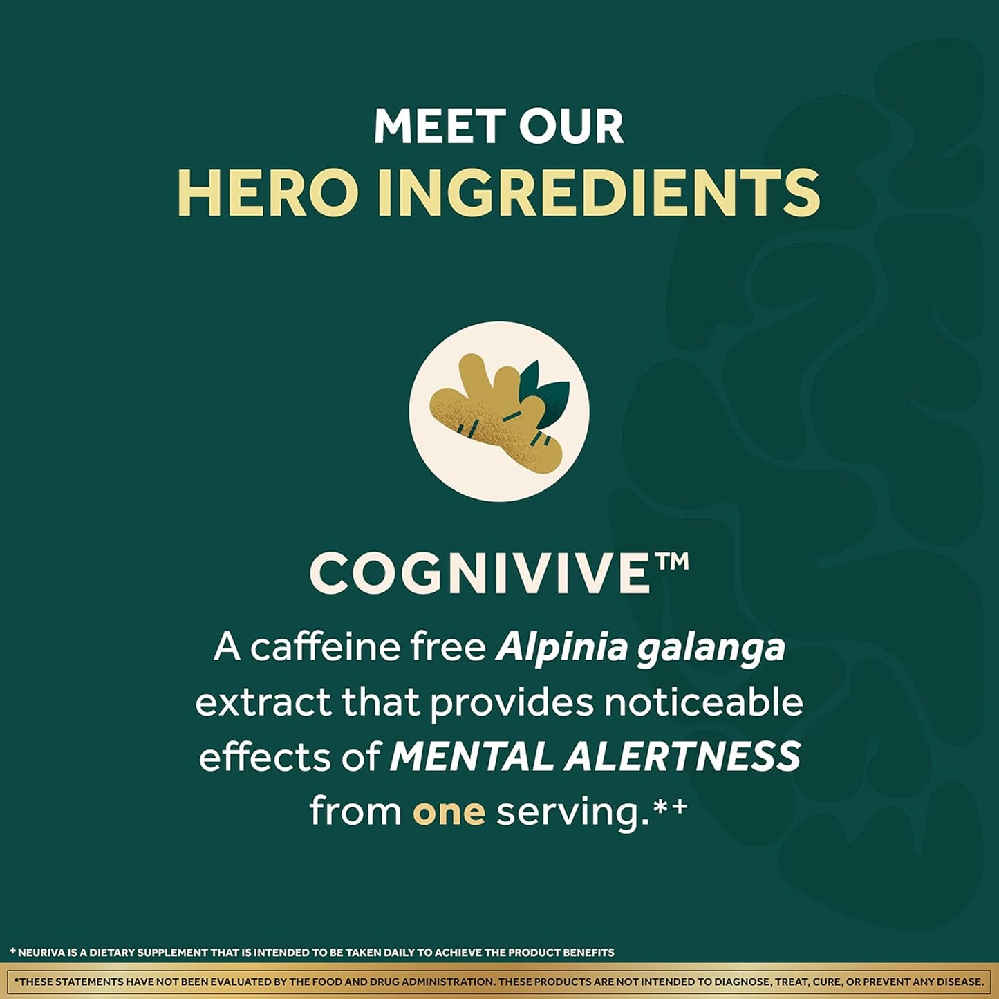NEURIVA Ultra Decaffeinated Brain Supplement for Mental Alertness, Memory & Focus - Clinically Tested Nootropic with Cognivive, Neurofactor, Phosphatidylserine, Vitamins B6 & B12 - 14ct Capsules - Espot.com.au