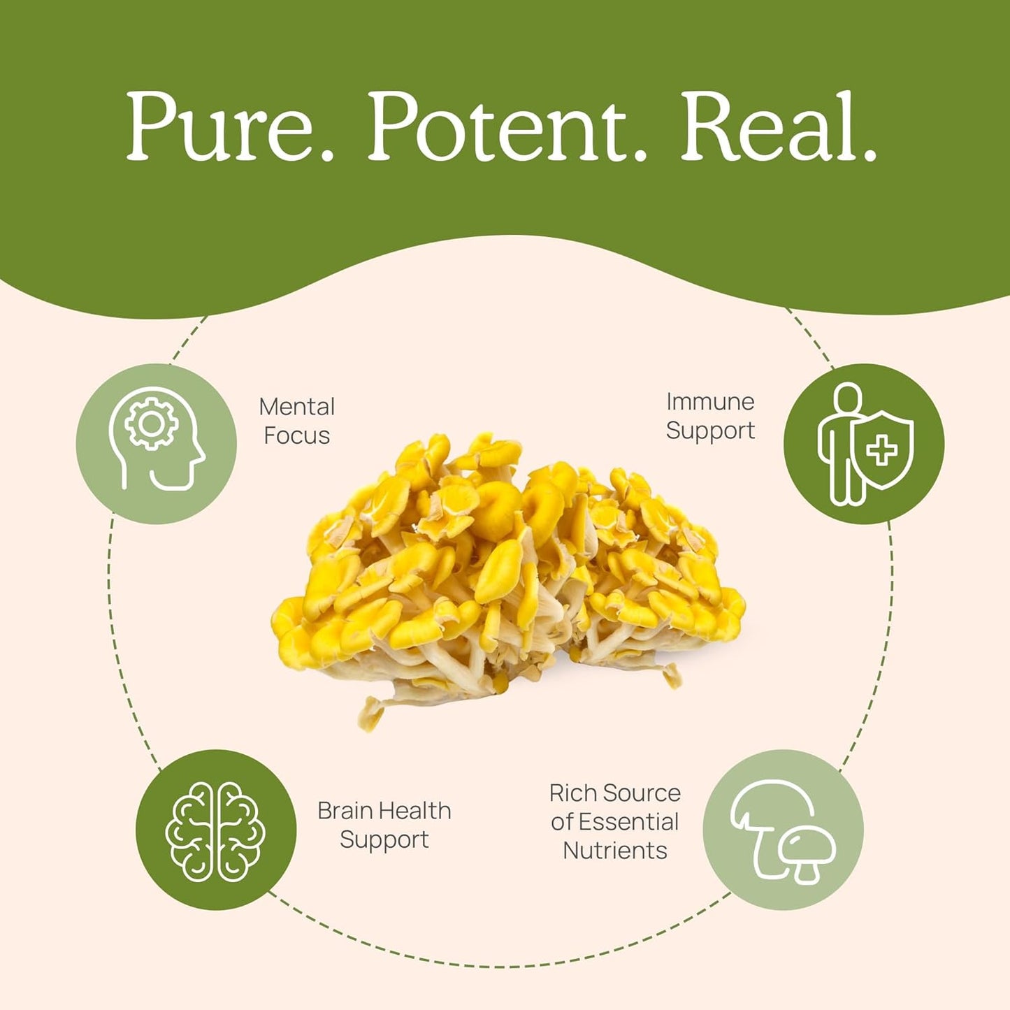 bundle-of-real-mushrooms-ergothioneine-60ct-and-5-defenders-200ct---turkey-tail-shiitake-reishi-chaga-maitake-oyster---boost-immune-strength-and-longevity---vegan-gluten-free-non-gmo-8