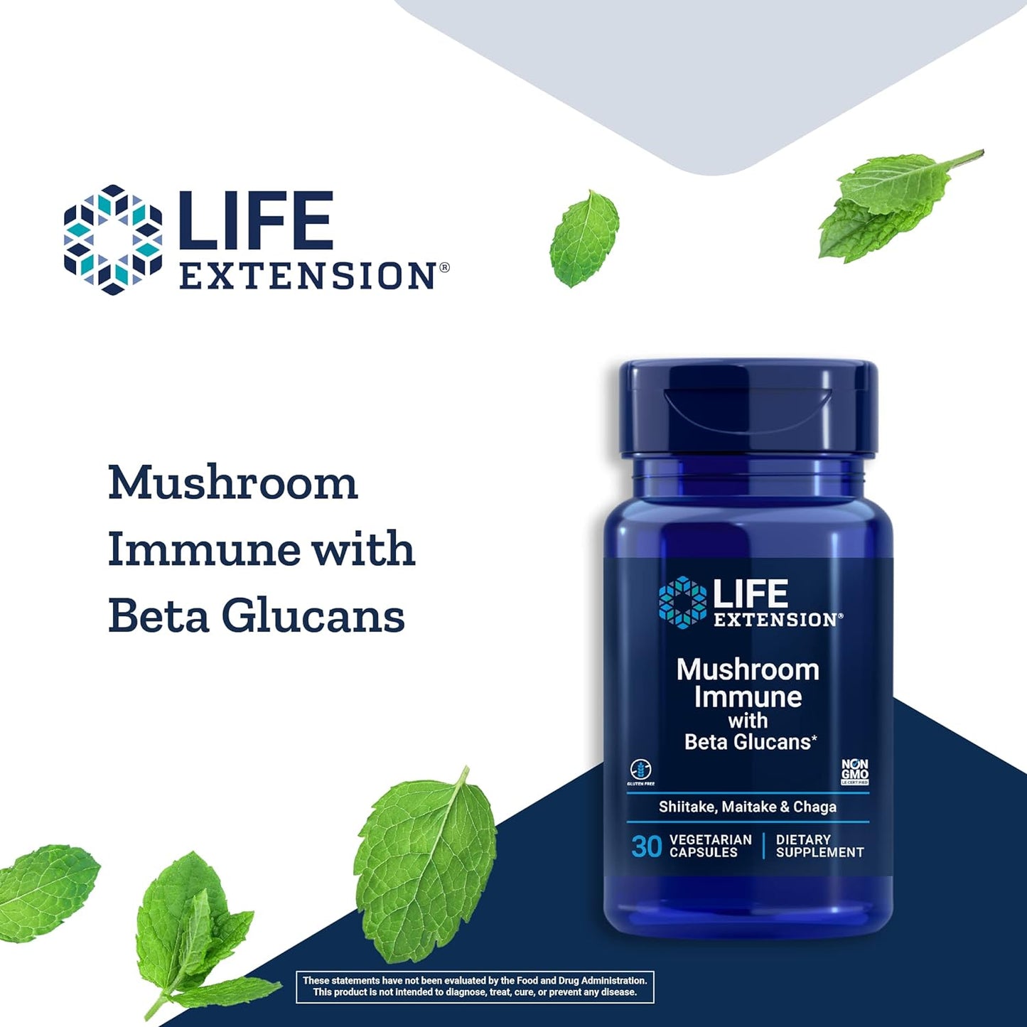 mushroom-immune-support-supplement-with-beta-glucans-for-longevity-4
