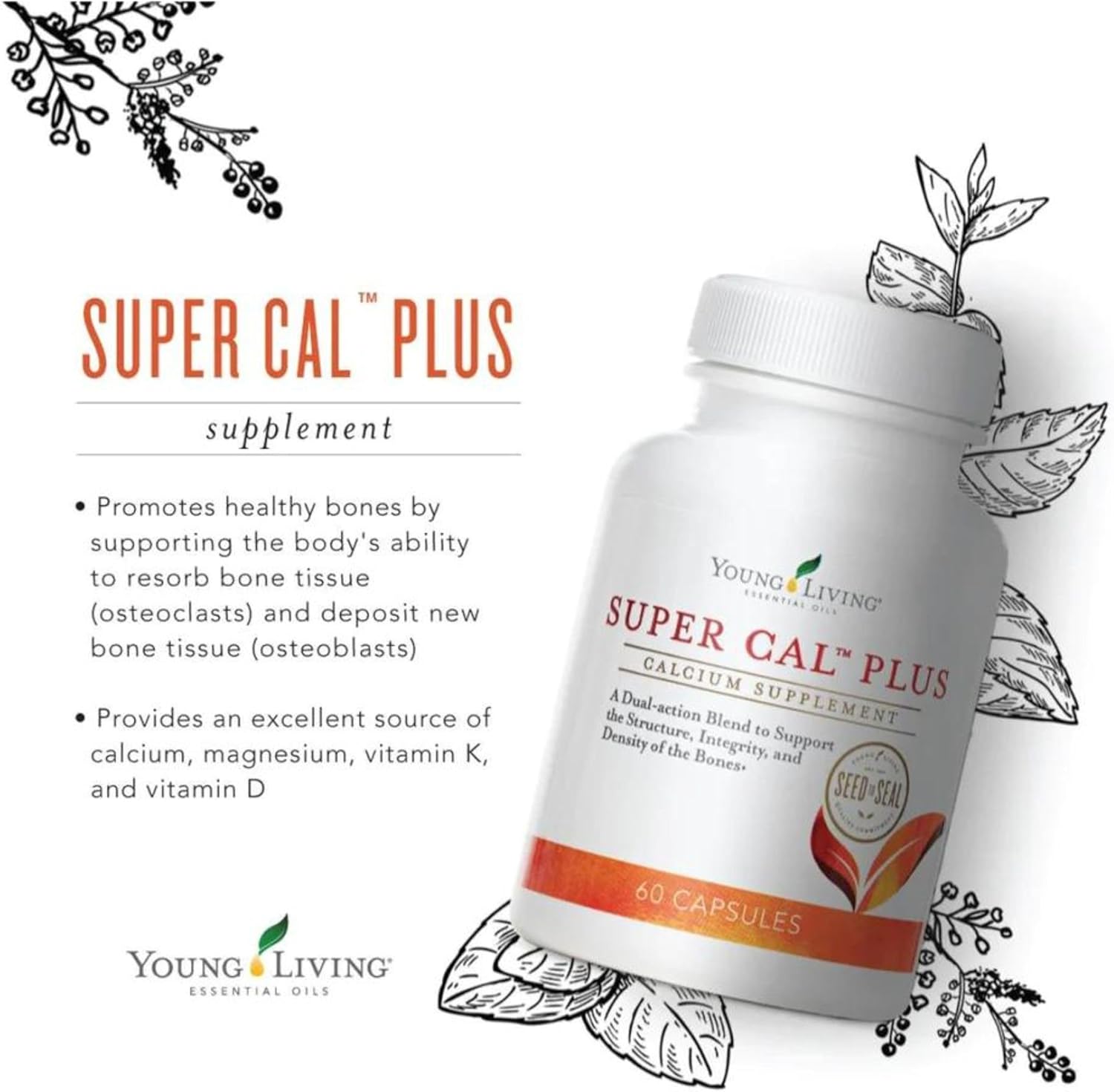 young-living-super-cal-plus-capsules---calcium-mineral-bone-health-supplement-with-magnesium-vitamins-d-k-essential-nutrients-for-strong-bones-3