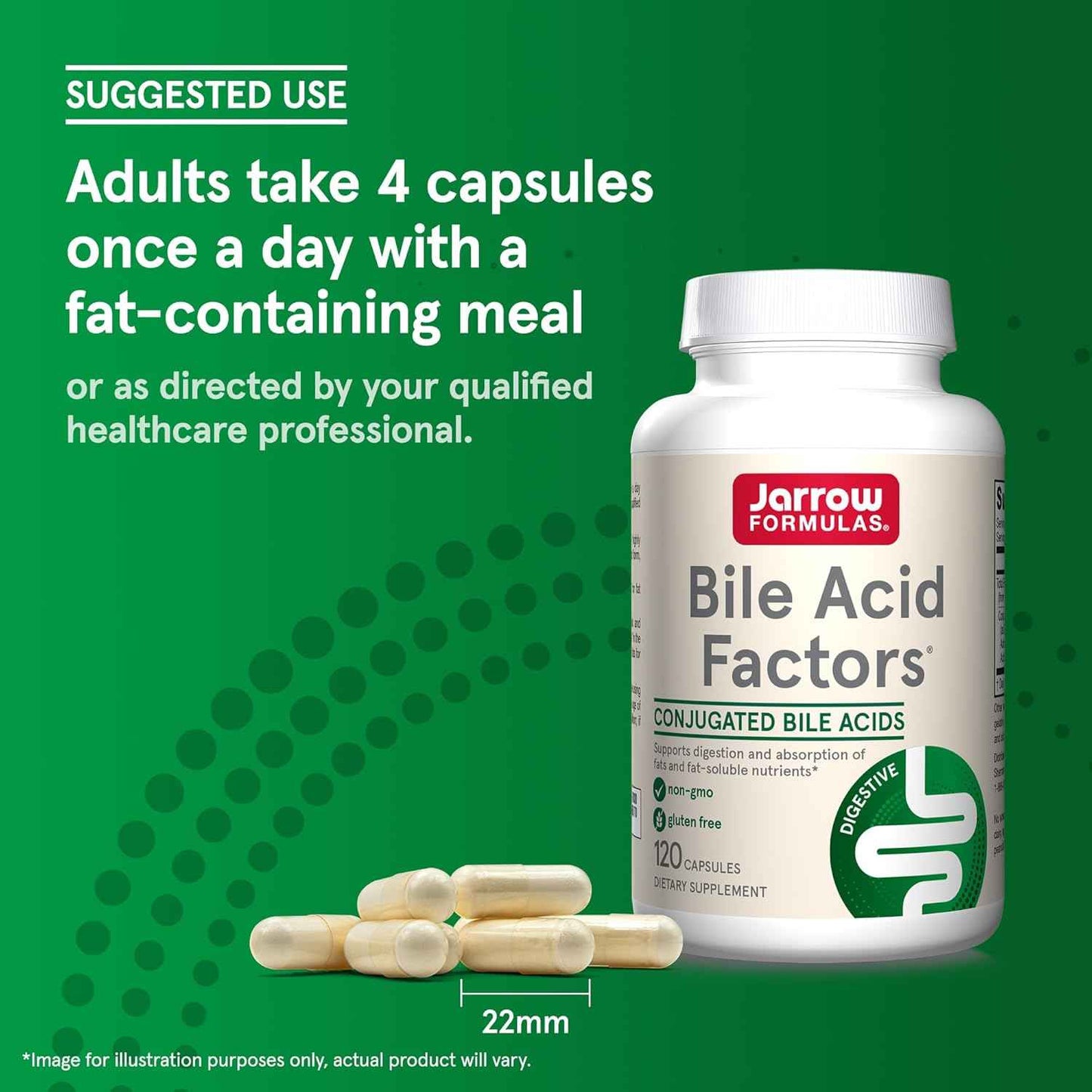 Digestive Support Supplement with Conjugated Bile Acids - 1000mg, 120 Capsules - Jarrow Formulas Bile Acid Factors for Fat Absorption & Nutrient Absorption