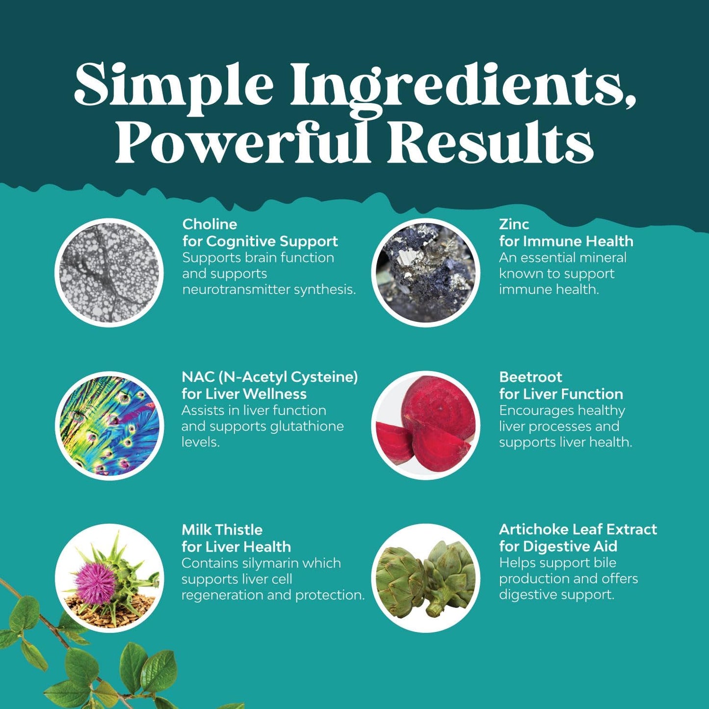 liver-support-supplement-bundle-with-nac-milk-thistle-and-gse---herbal-liquid-for-digestive-and-immune-health-6