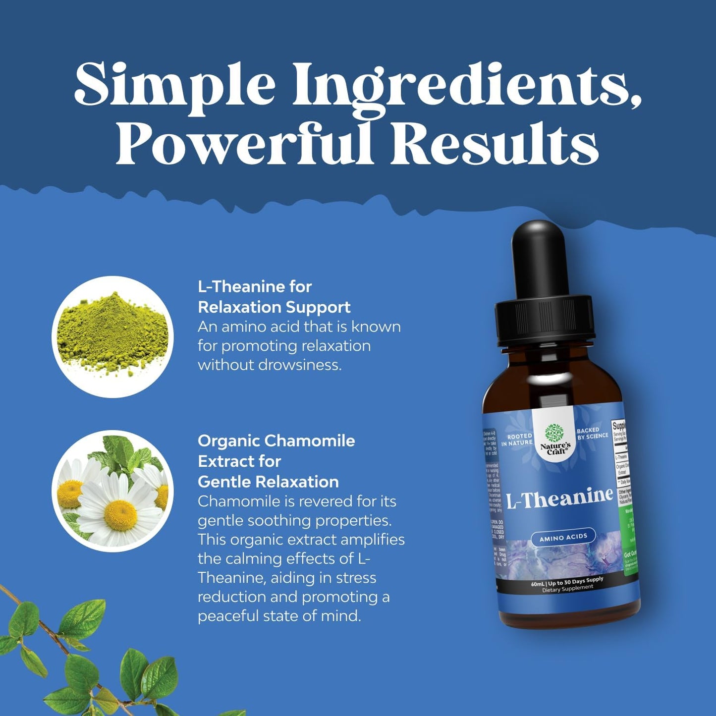 high-absorption-l-theanine-liquid-drops-with-chamomile-extract---focus-relaxation-supplement-for-adults-kids---200mg-l-theanine-per-serving---2oz-5