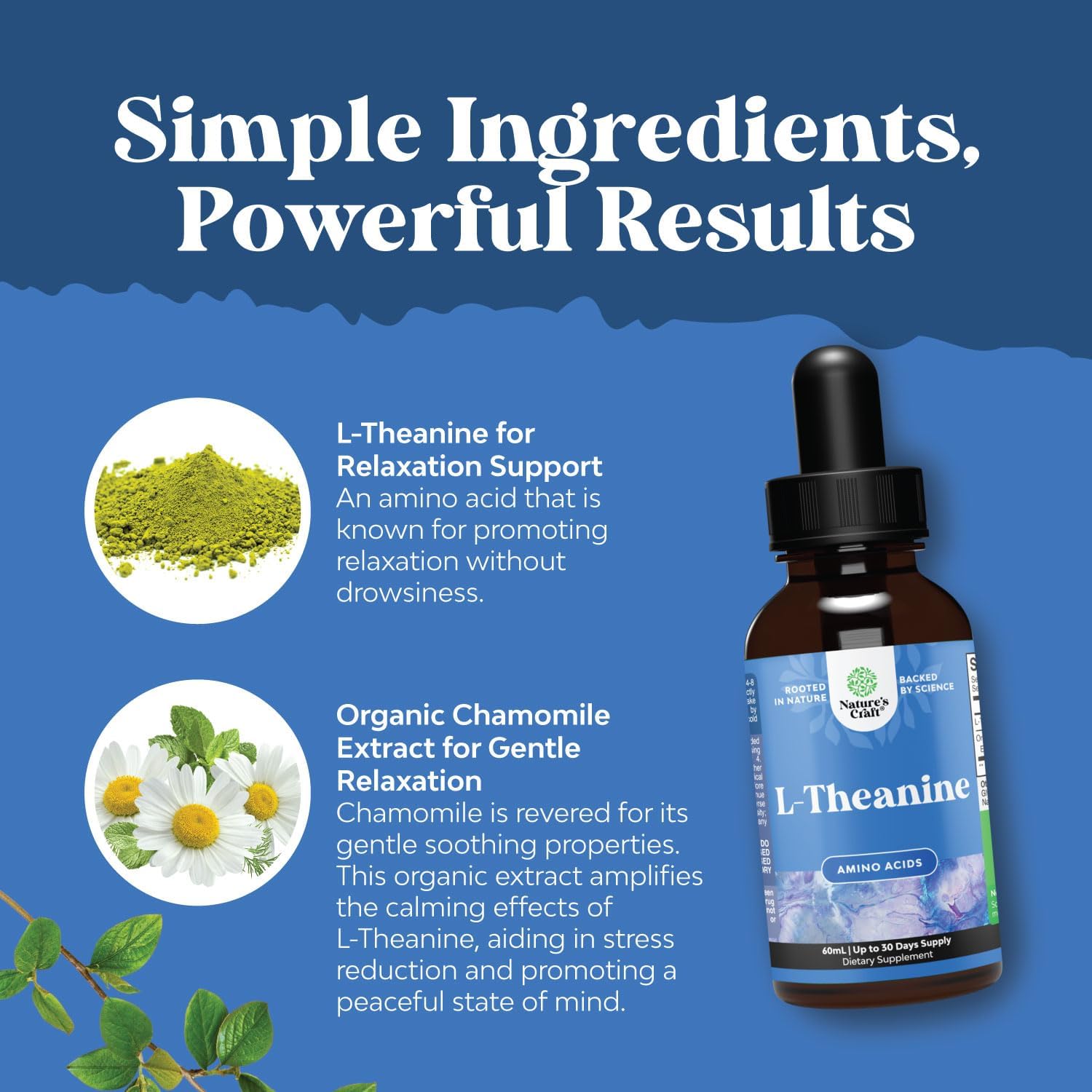 high-absorption-l-theanine-liquid-drops-with-chamomile-extract---nootropic-focus-supplement-for-relaxation-and-concentration---200mg-per-serving---4-oz-5