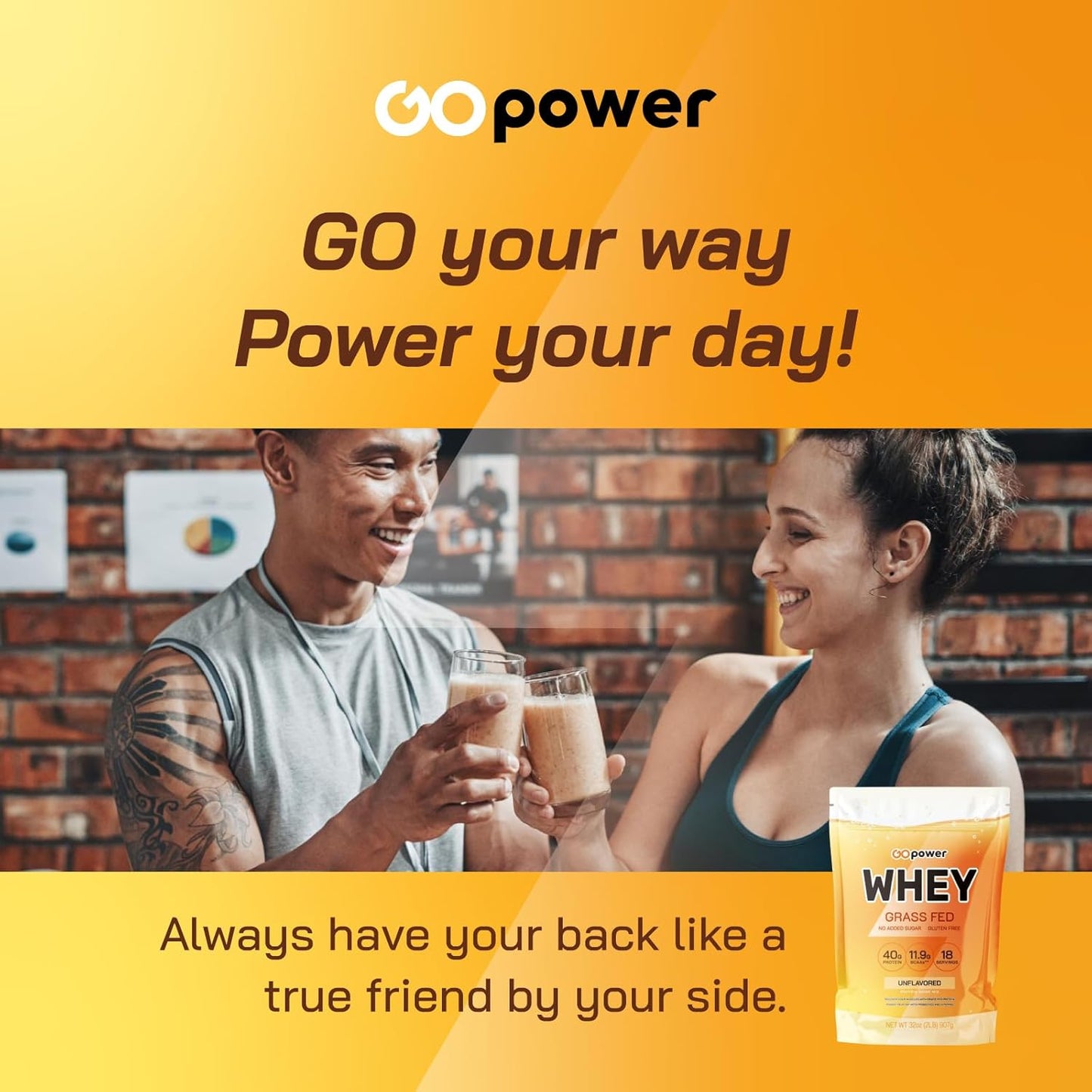 premium-grass-fed-whey-protein-powder-with-bcaas---2lb-18-servings---gopower-7