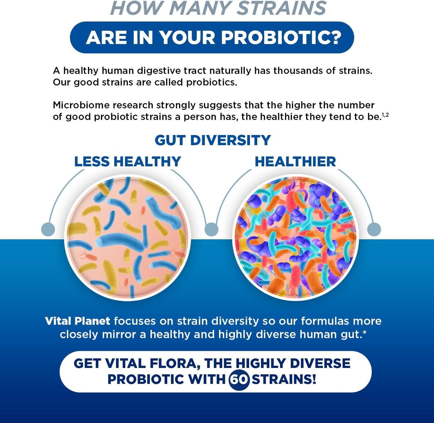 vital-planet-women-over-55-daily-probiotic---60-billion-cfu-60-strains-7-prebiotics---immune-support-digestive-health---60-capsules-6