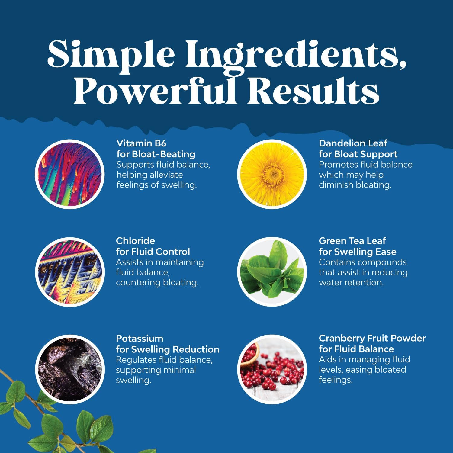 water-away-pills-with-vitamin-b6-potassium-dandelion-root-extract---natural-diuretic-for-water-retention-bloating-weight-loss---anti-swelling-capsules-with-green-tea---men-women---bio-sense-4