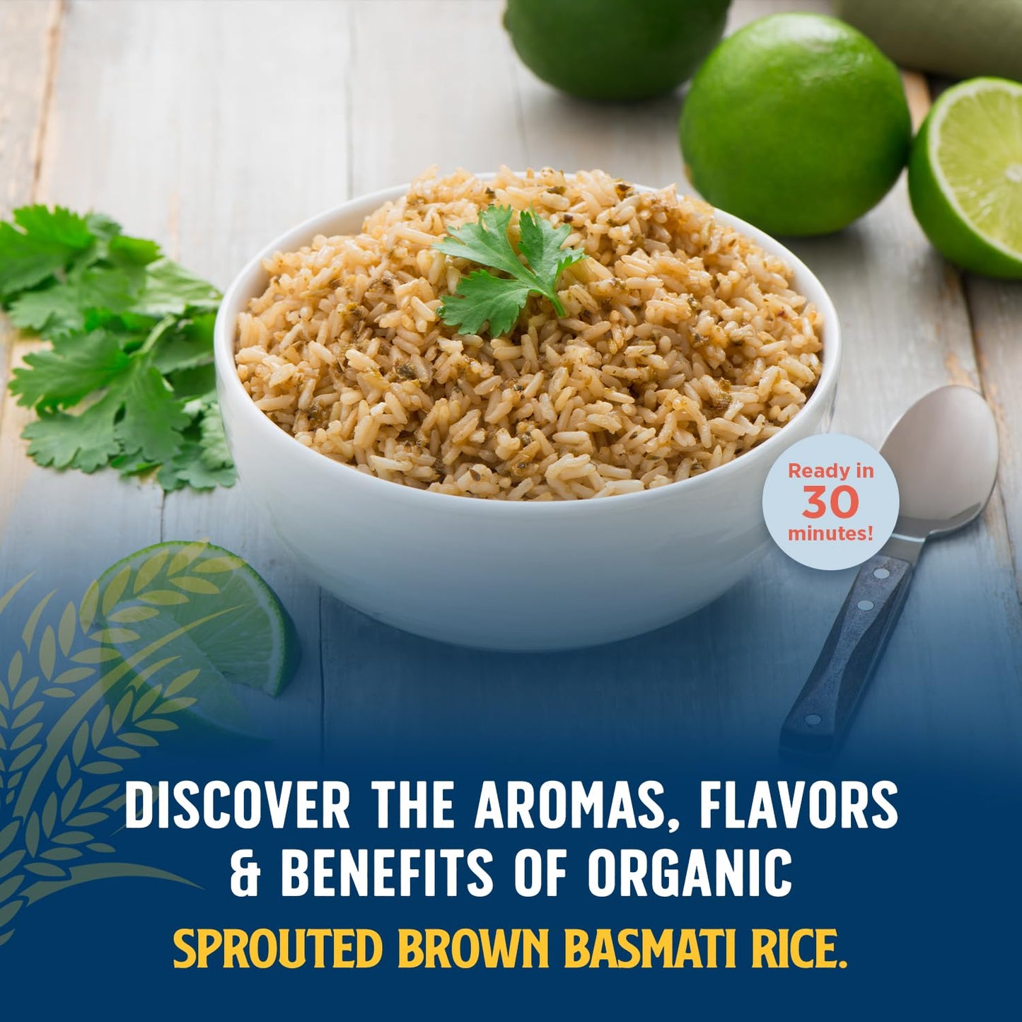 organic-sprouted-brown-basmati-rice---nutty-nutritious-california-grown-rice-ready-in-30-minutes-pantry-staple-16-oz-pack-of-6-4