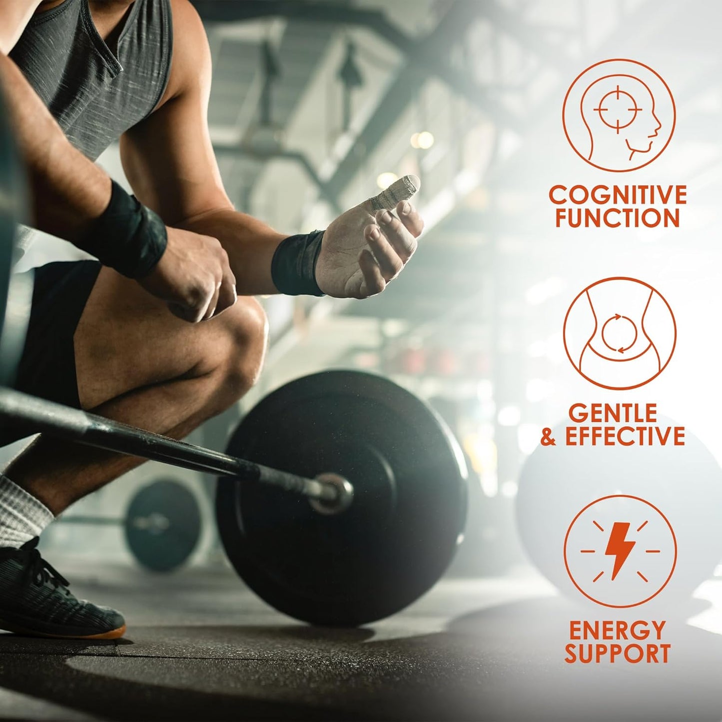 high-quality-harmonify-l-carnitine-supplement---1000mg-per-serving-120-vegetarian-capsules-pure-form-60-servings-2