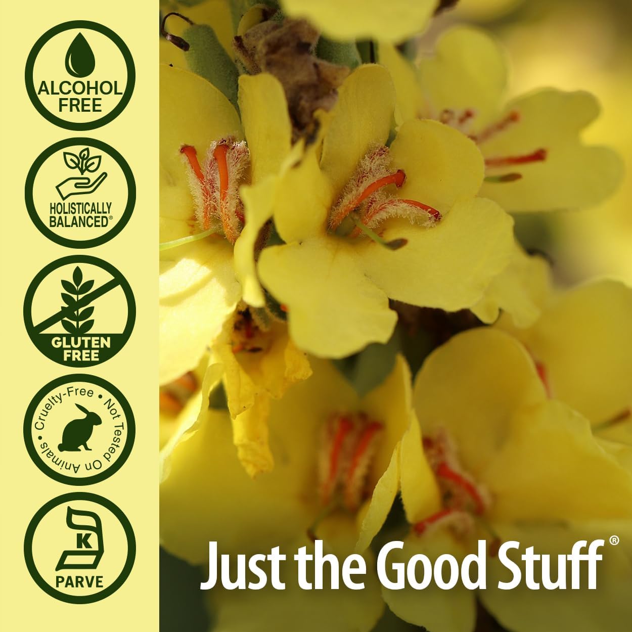 alcohol-free-mullein-flower-ear-oil-by-natures-answer---soothing-and-natural-ear-care-solution-5