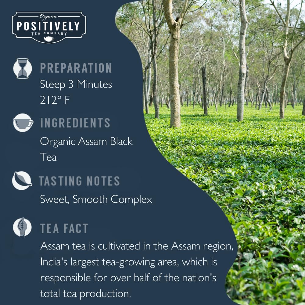 organic-assam-tgfop-black-tea---loose-leaf---16-ounce-by-positively-tea-company-2