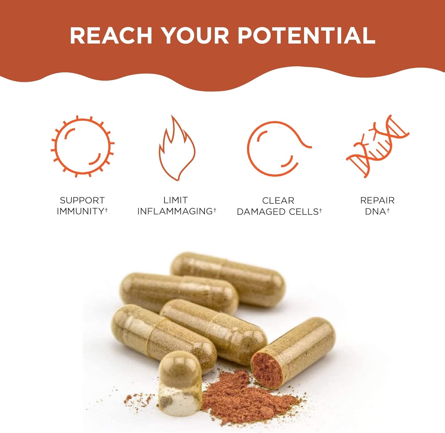 ac-11-anti-aging-immune-booster-bundle-with-high-absorption-microgel-delivery---liquid-supplement-for-age-defense-immunity-support-3