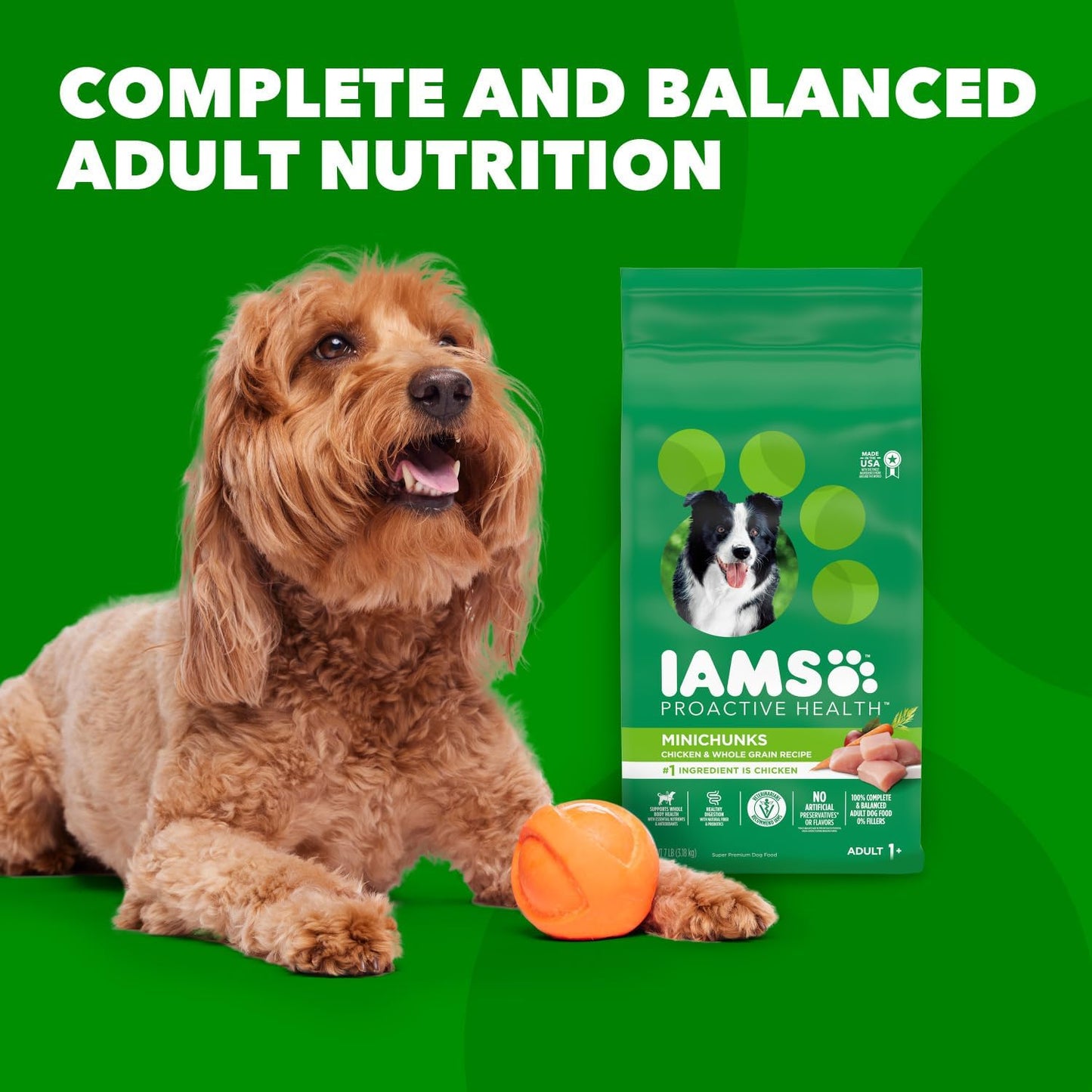 iams-proactive-health-minichunks-adult-dry-dog-food-with-real-chicken---30-lb-bag-11