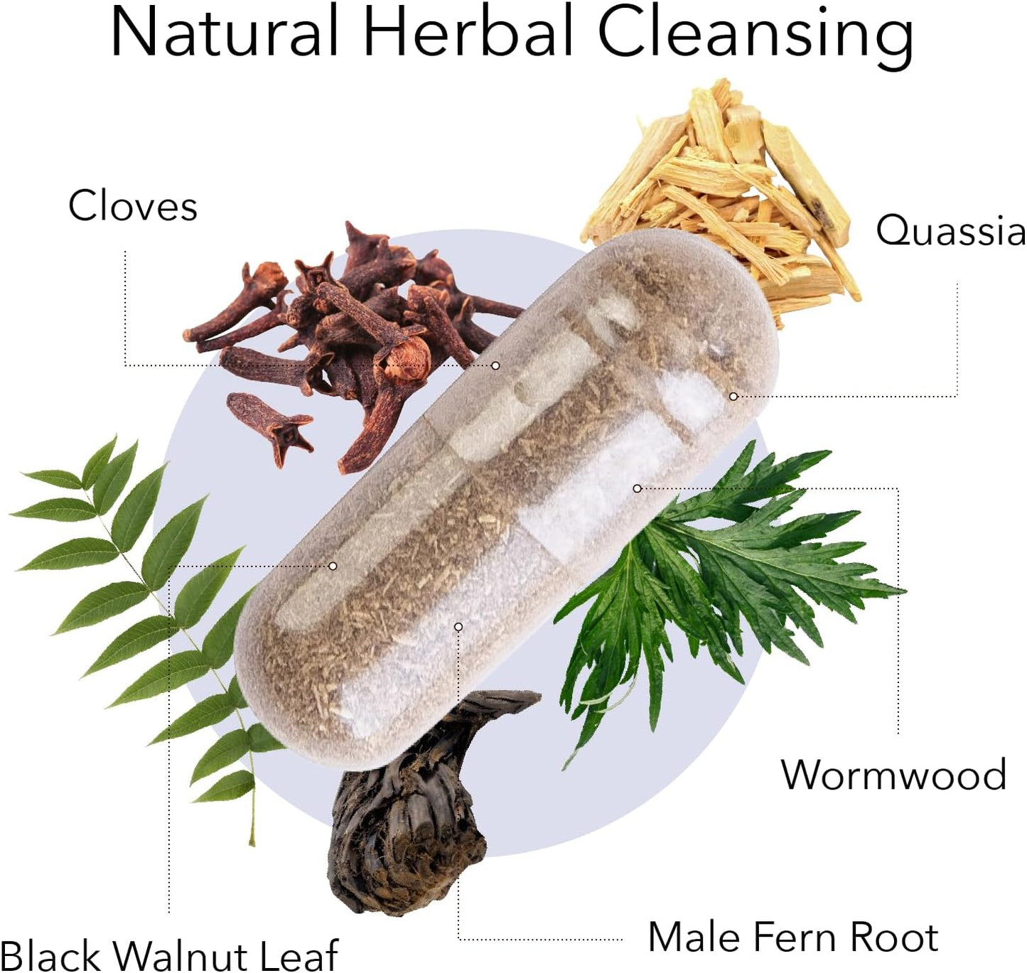 bundle-of-kroeger-herb-products-wormwood-and-chem-x---natural-remedies-for-digestive-health-and-detoxification-7