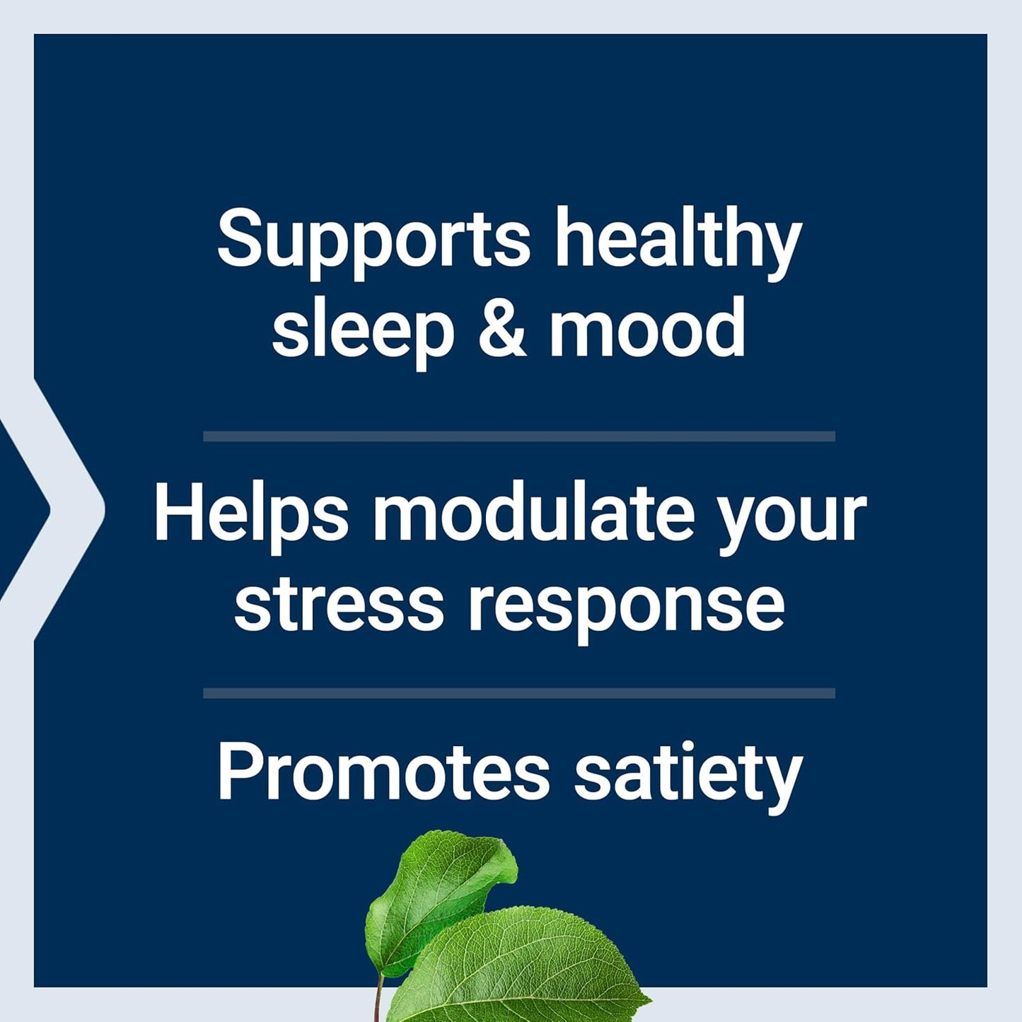 500-mg-life-extension-l-tryptophan-capsules-for-healthy-serotonin-levels-sleep-mood-stress-and-satiety---gluten-free-non-gmo-vegetarian---90-count-4