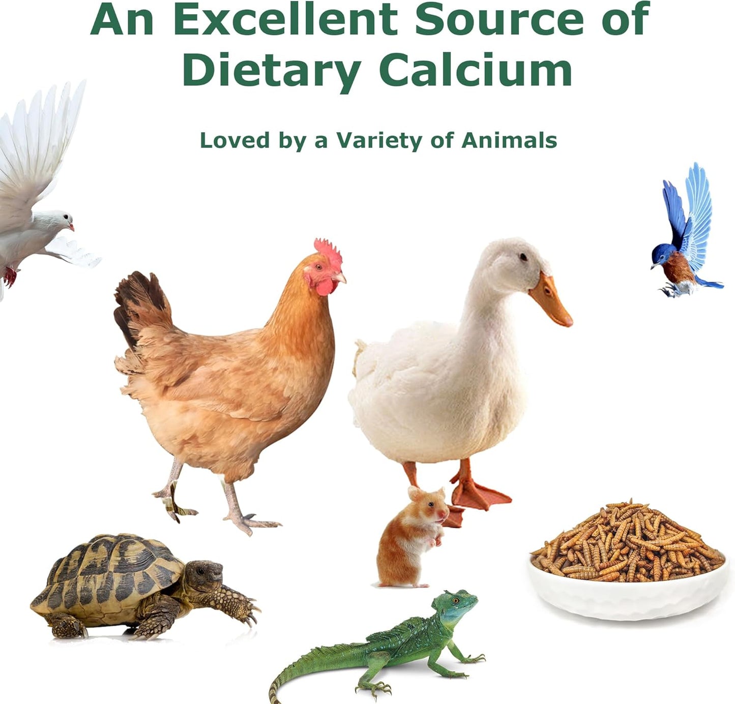 5lbs-grubsfarm-hartompet-black-soldier-fly-larvae-treats---high-calcium-non-gmo-chicken-feed-additive---superior-to-dried-mealworms-for-hens-ducks-wild-birds---85x-calcium-7