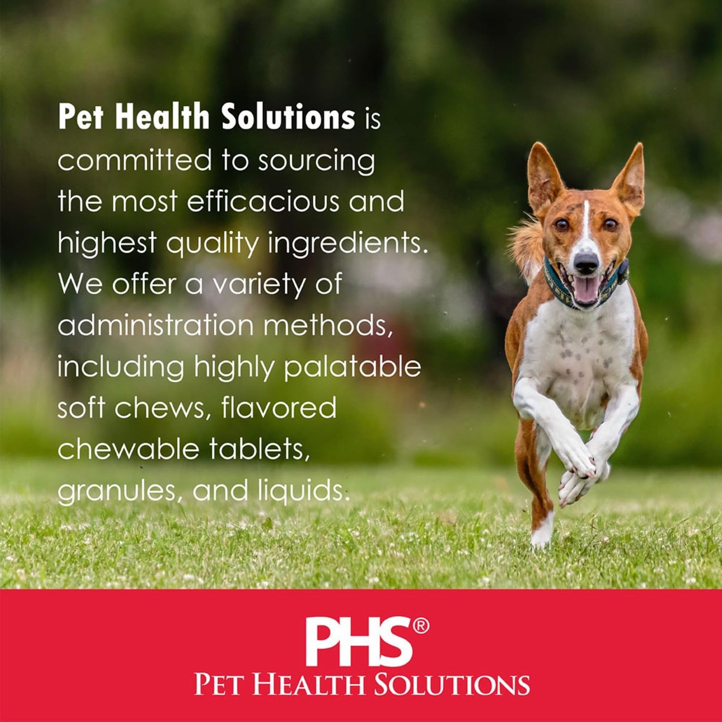 veterinarian-approved-pet-health-supplement-with-potassium-gluconate-cranberry-and-epa---supports-kidney-health-in-dogs-and-cats---3-pack-7
