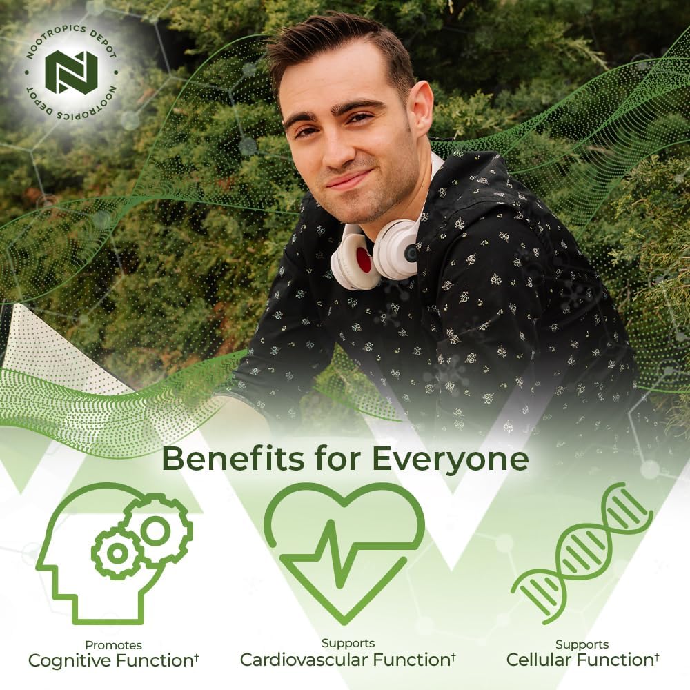 Ginkgo Biloba Extract Tablets 120mg | 90 Count | 10% Kaempferol Glycoside + 2% Bilobalide | Cognitive & Cardiovascular Support - Espot.com.au