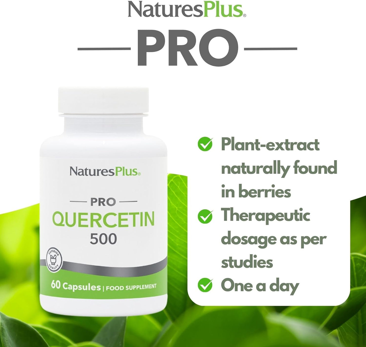 natures-plus-quercetin-capsules---500-mg---60-count---non-gmo-vegan-gluten-free---60-servings-3