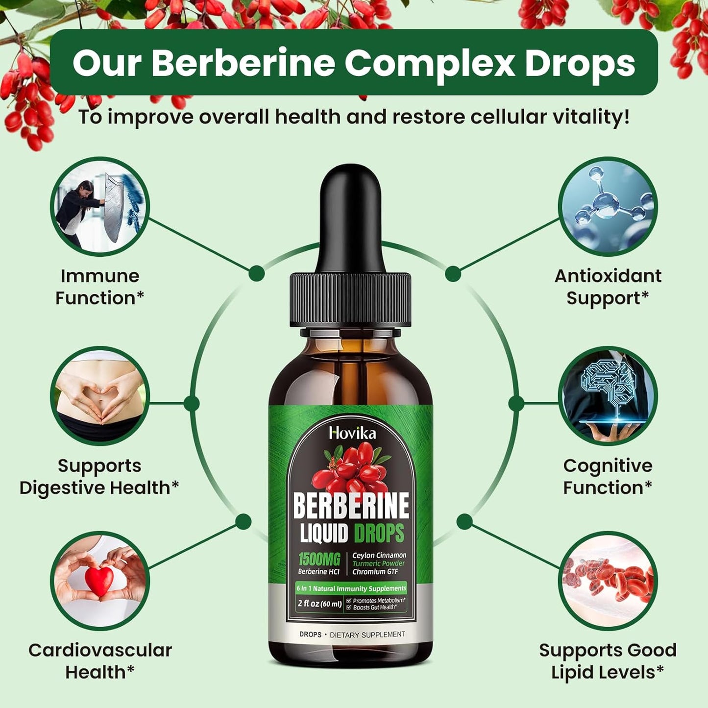 1500mg-berberine-hcl-liquid-drops-with-ceylon-cinnamon-chromium-turmeric-niacinamide---supports-metabolism-immune-system-gut-health---2-fl-oz-vegan-supplement-4