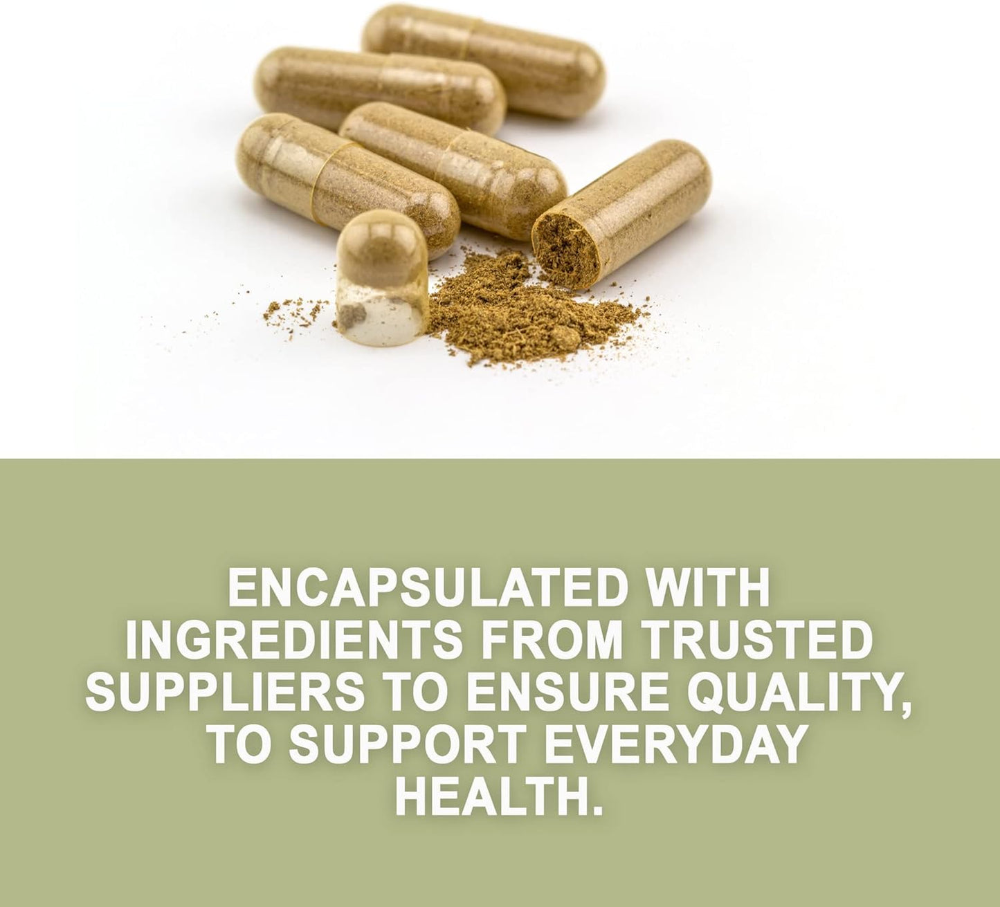 Premium Evergreen Herbs Prodigiosa Capsules with Tamper-Proof Seal for Ultimate Freshness - Buy Now! - Espot.com.au