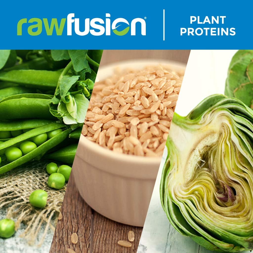 san-rawfusion-vegan-protein-powder-vanilla-bean---30-servings-21g-plant-based-protein-low-net-carbs-non-dairy-gluten-free-soy-free-kosher-non-gmo-206lbs---top-quality-vegan-protein-powder-with-vanilla-flavor-6