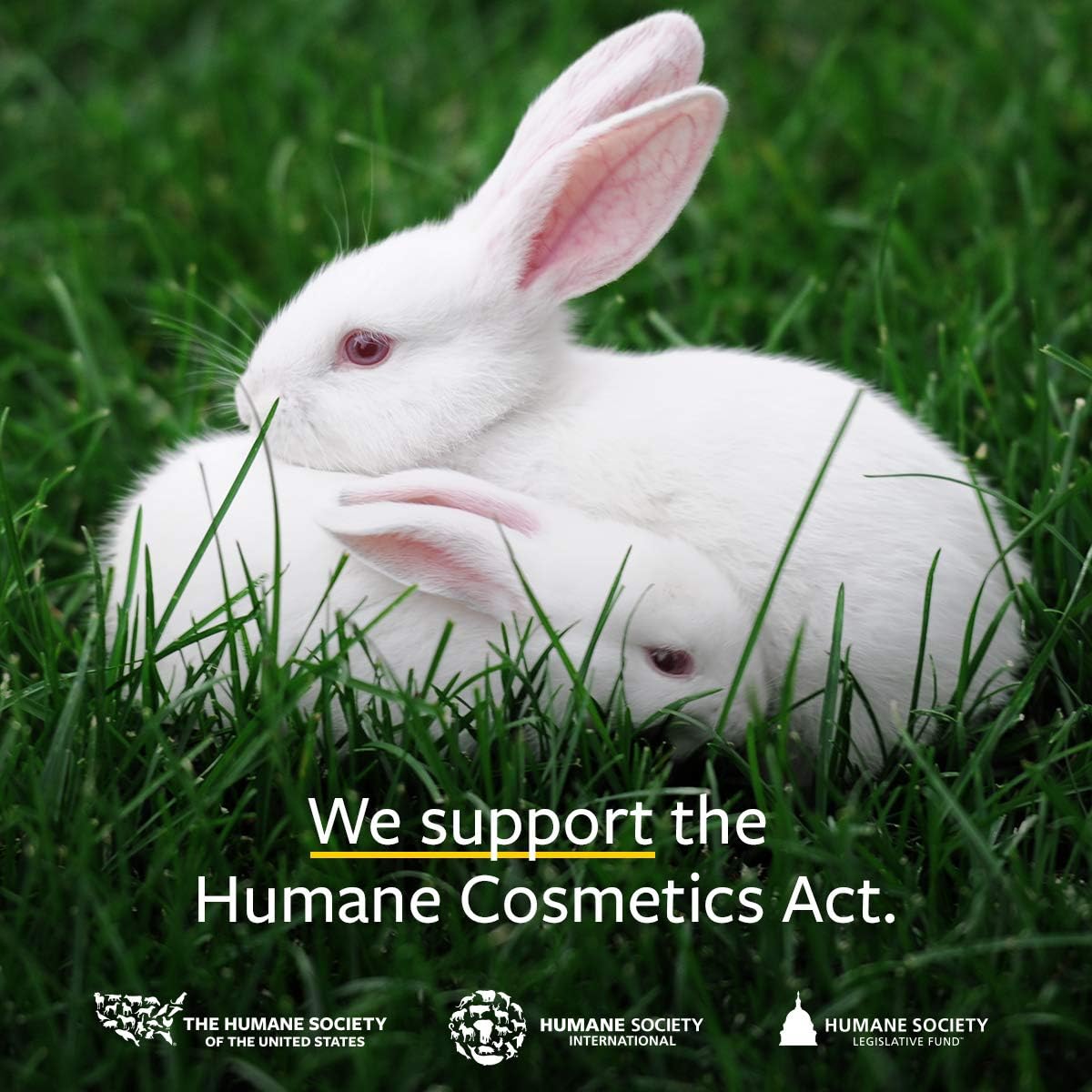 usda-certified-organic-mosquito-repellent-spray---deet-free-outdoor-bug-protection---cruelty-free-formula-with-proven-lab-results---2-oz-pump-sprays-2-pack-7