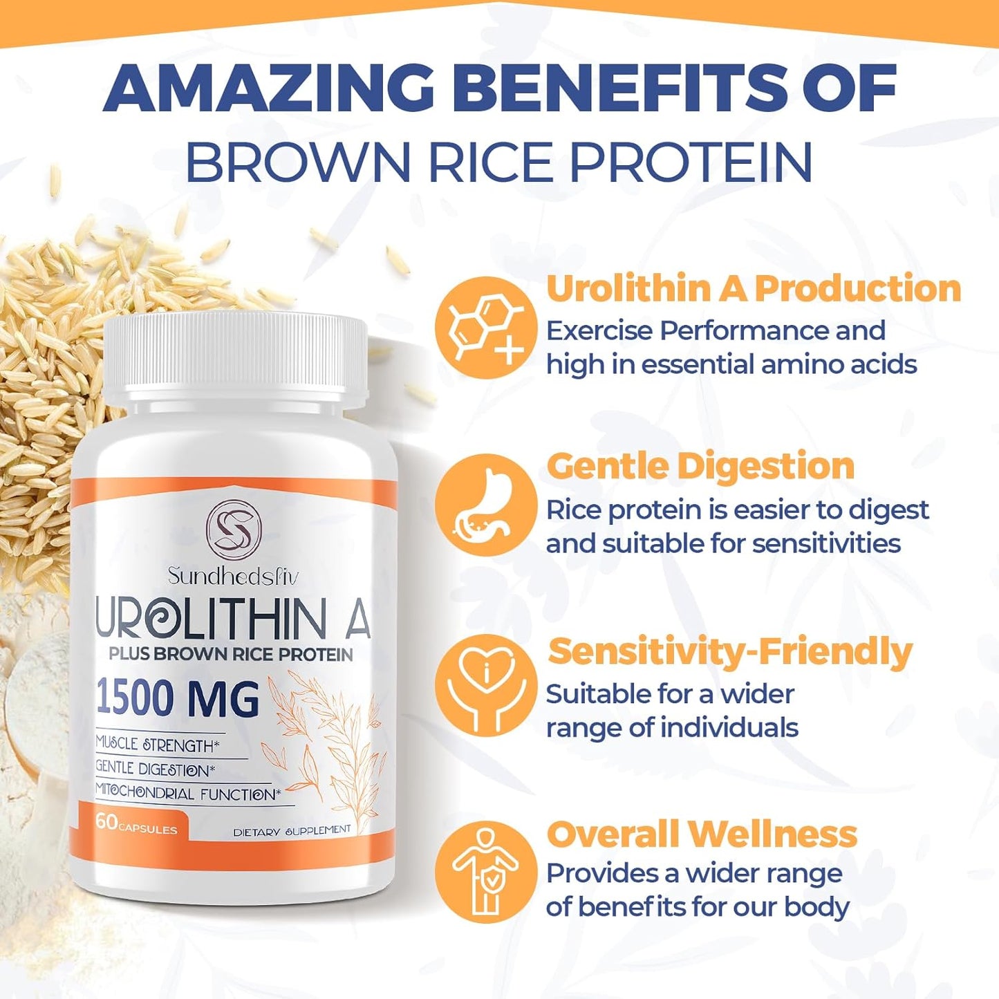 1500MG Sundhedsliv Urolithin A Supplement with Brown Rice Protein - Boost Exercise Performance & Cellular Health - Gluten Free - 60 Capsules - Espot.com.au