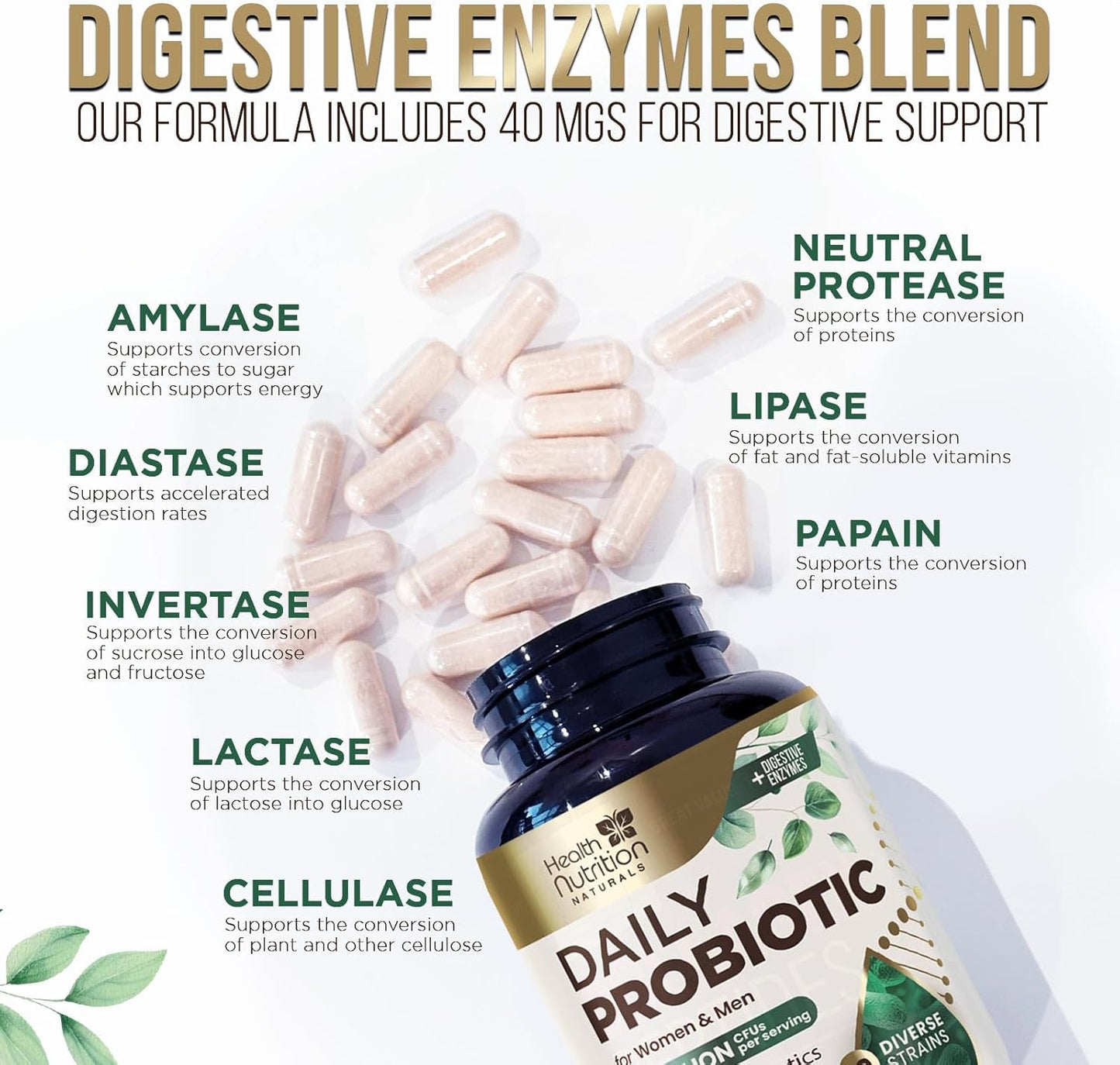 high-potency-probiotic-and-prebiotic-supplement-for-digestive-health---60-billion-cfu-capsules-with-10-strains-and-digestive-enzymes---supports-gut-and-immune-health---120-capsules-for-men-and-women-6