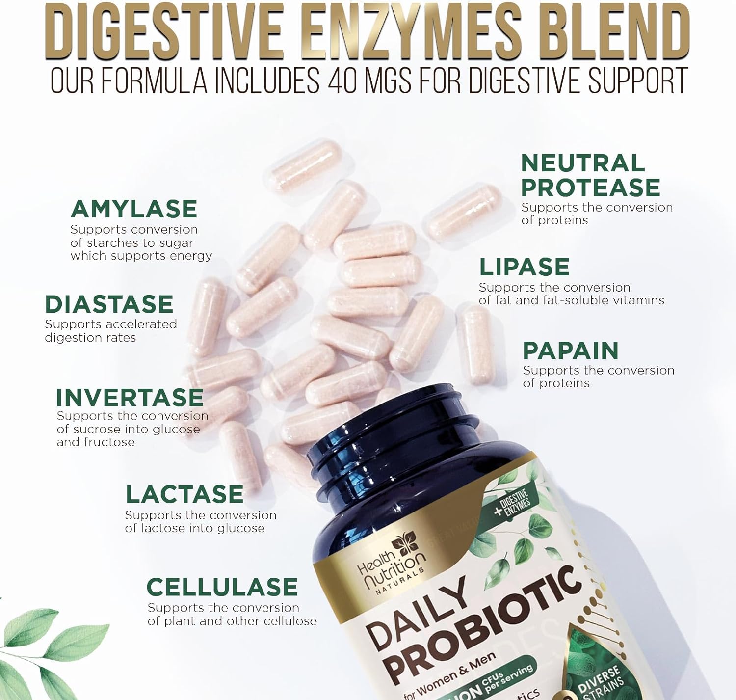 high-potency-probiotic-and-prebiotic-supplement-for-digestive-health---60-billion-cfu-capsules-with-10-strains-and-digestive-enzymes---supports-gut-and-immune-health---120-capsules-for-men-and-women-6